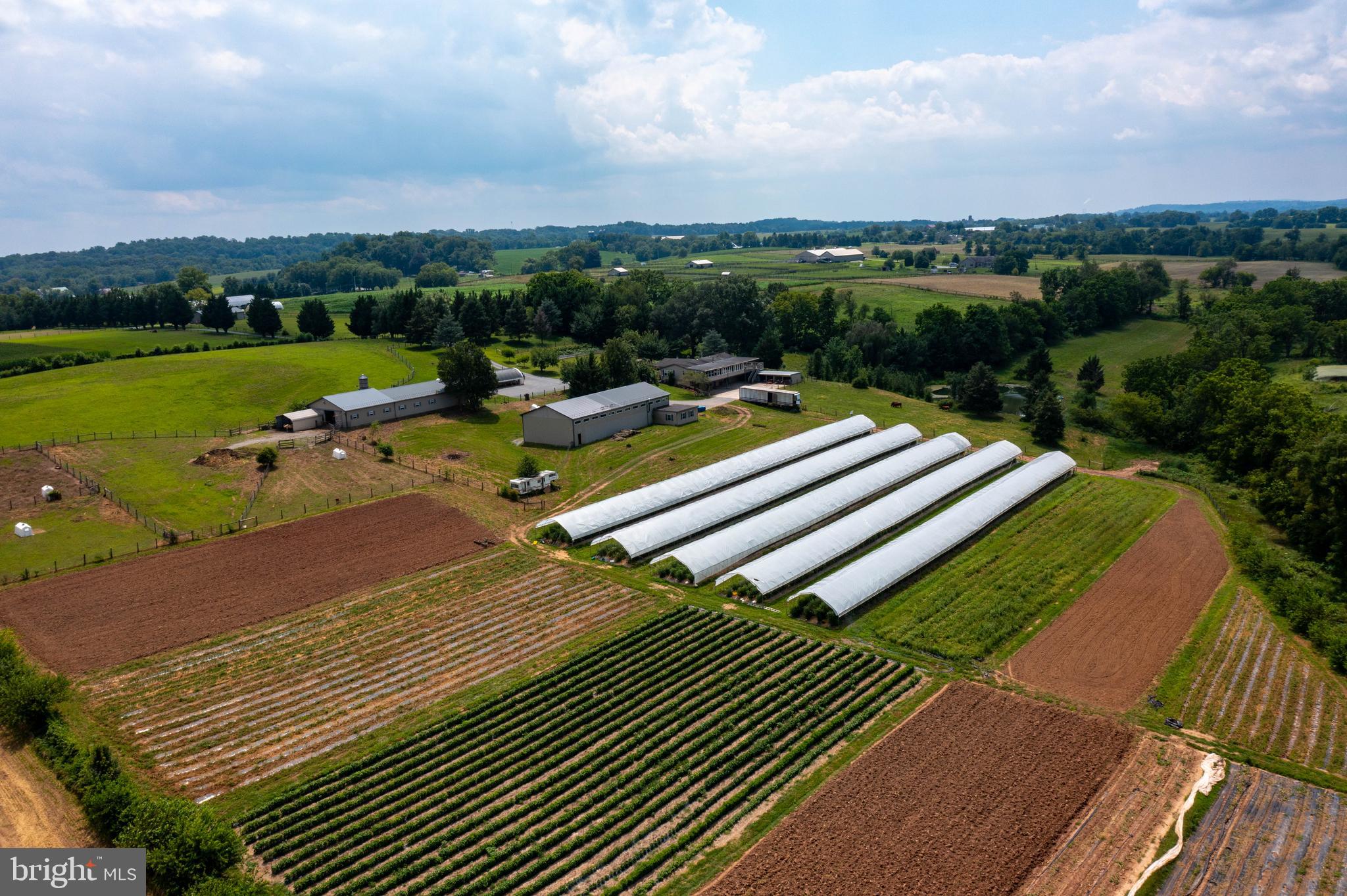 NONE AVAILABLE - Farm