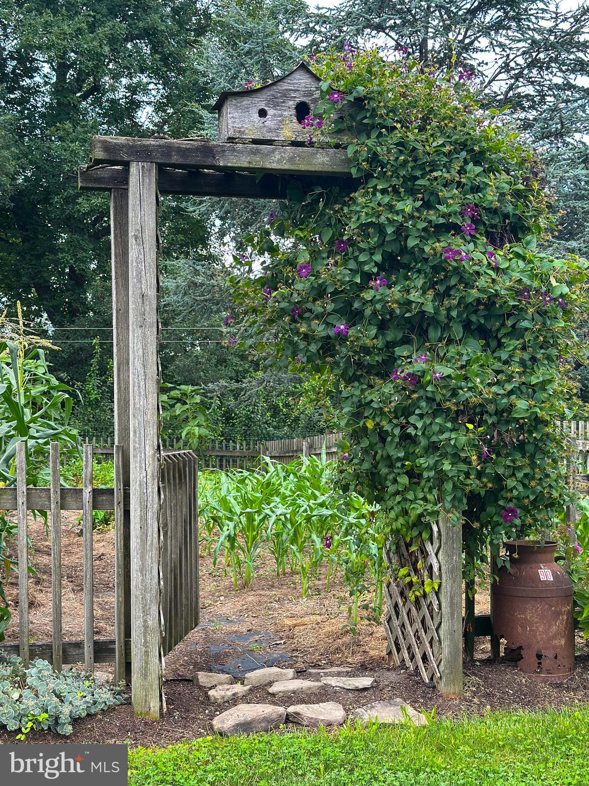 NONE AVAILABLE - Farm