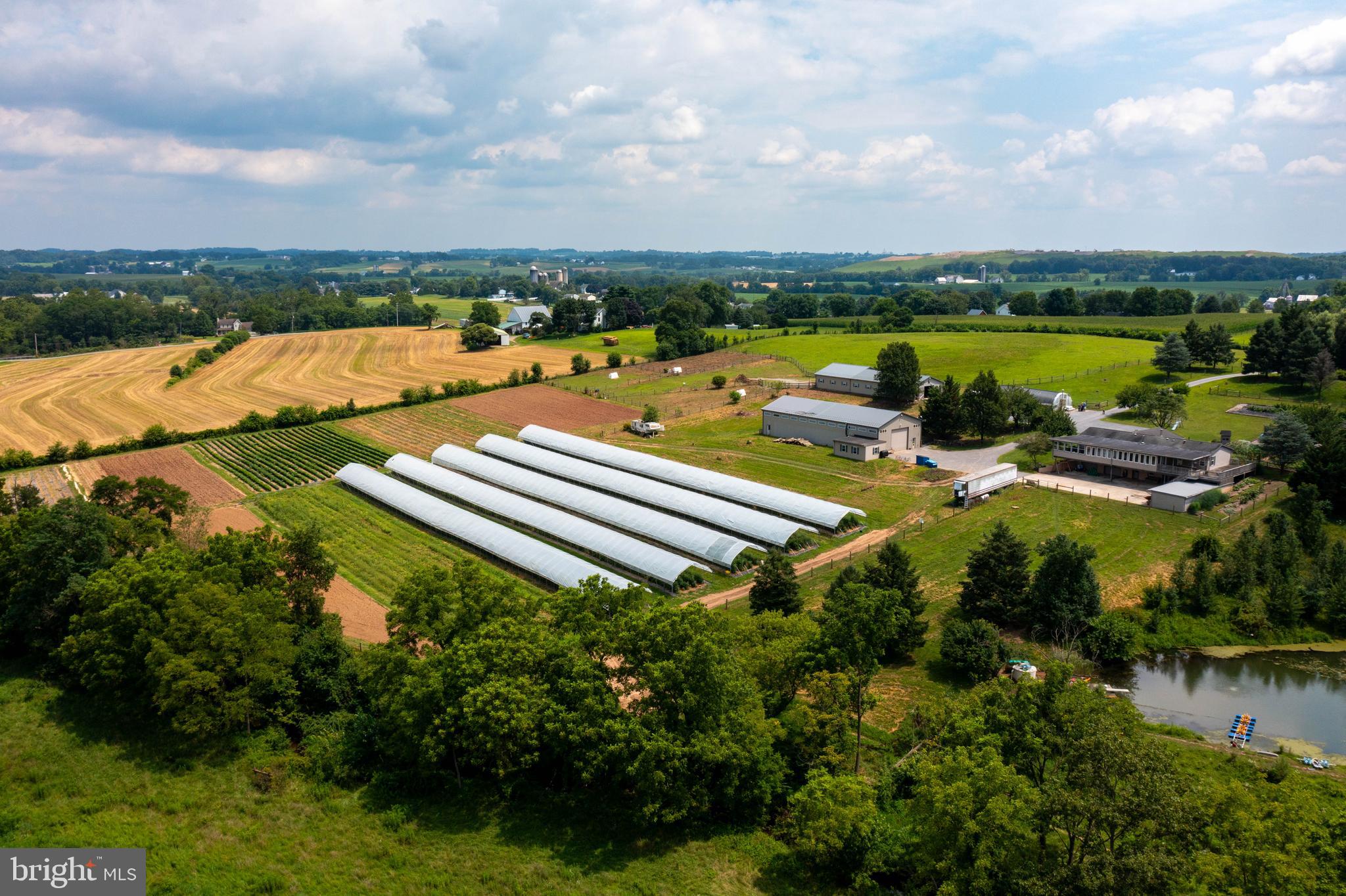 NONE AVAILABLE - Farm