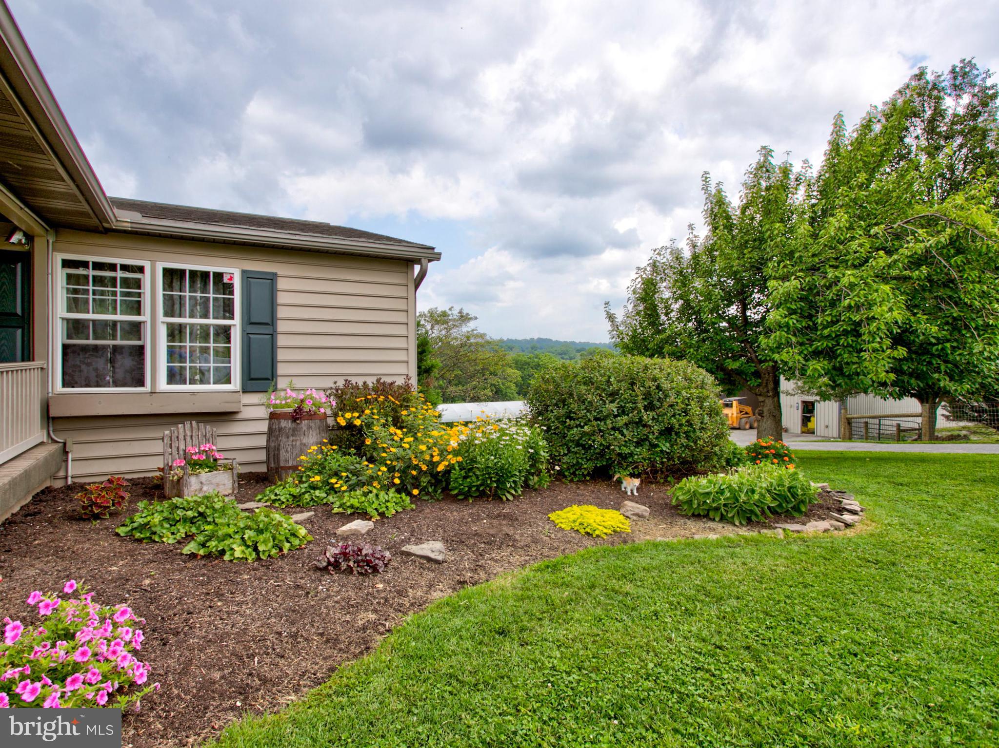 NONE AVAILABLE - Farm