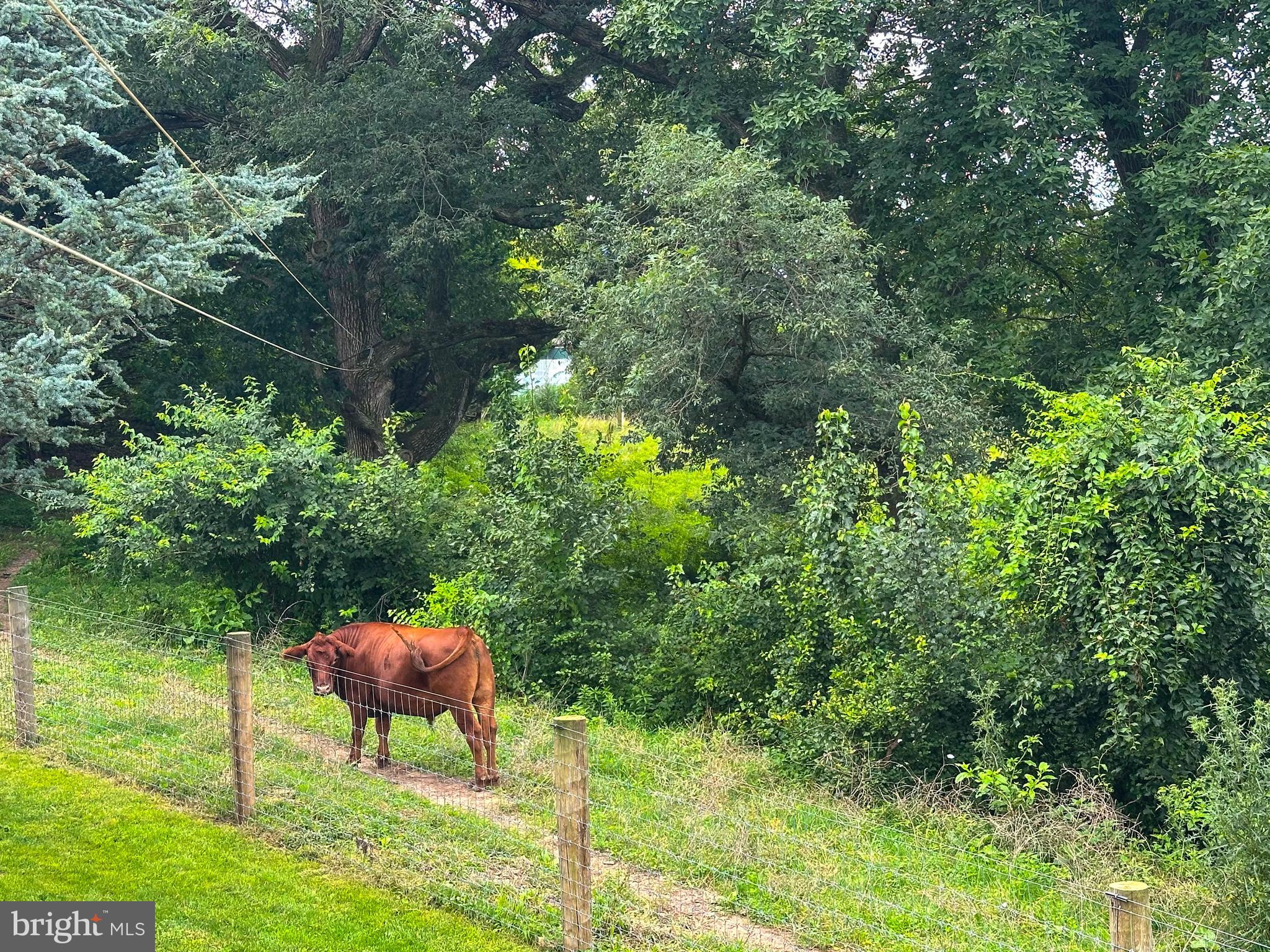 NONE AVAILABLE - Farm