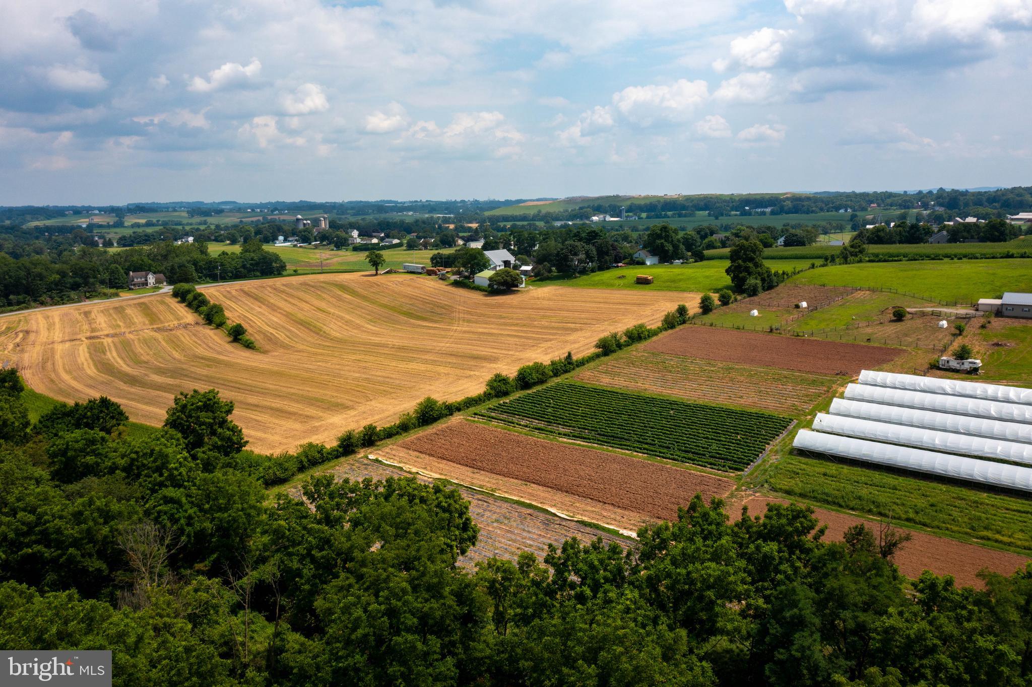 NONE AVAILABLE - Farm