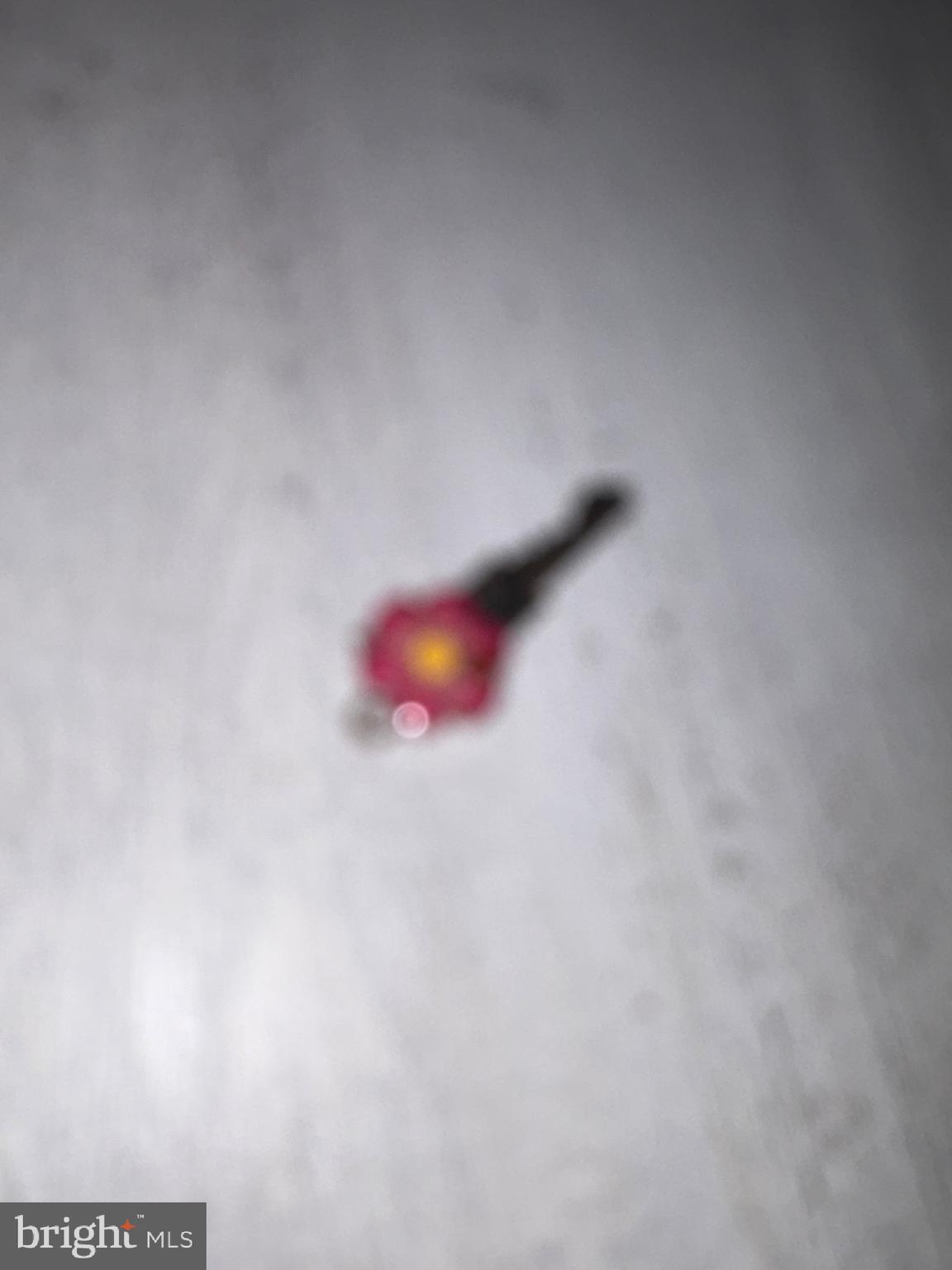 MANASSAS PARK - Residential Lease