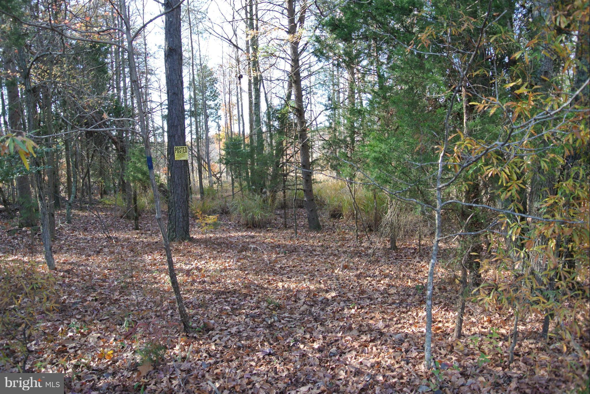 NONE AVAILABLE - Land