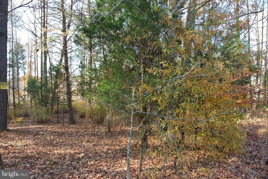 14.71 Acres Off of Holly St Off of Nelson Pt Rd  Raw Land