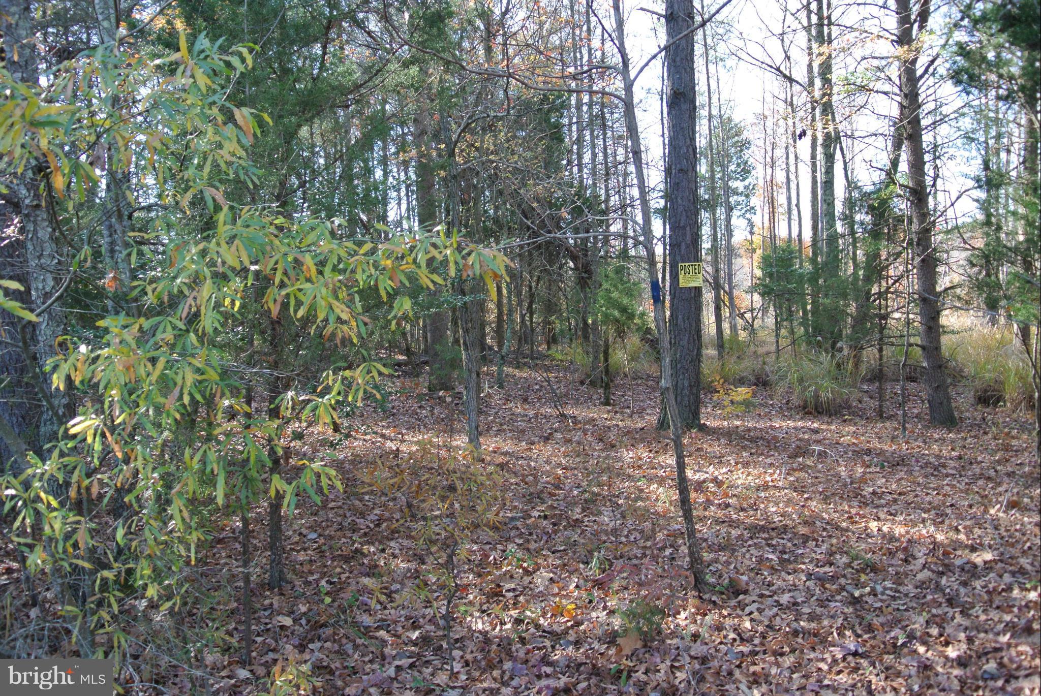 NONE AVAILABLE - Land