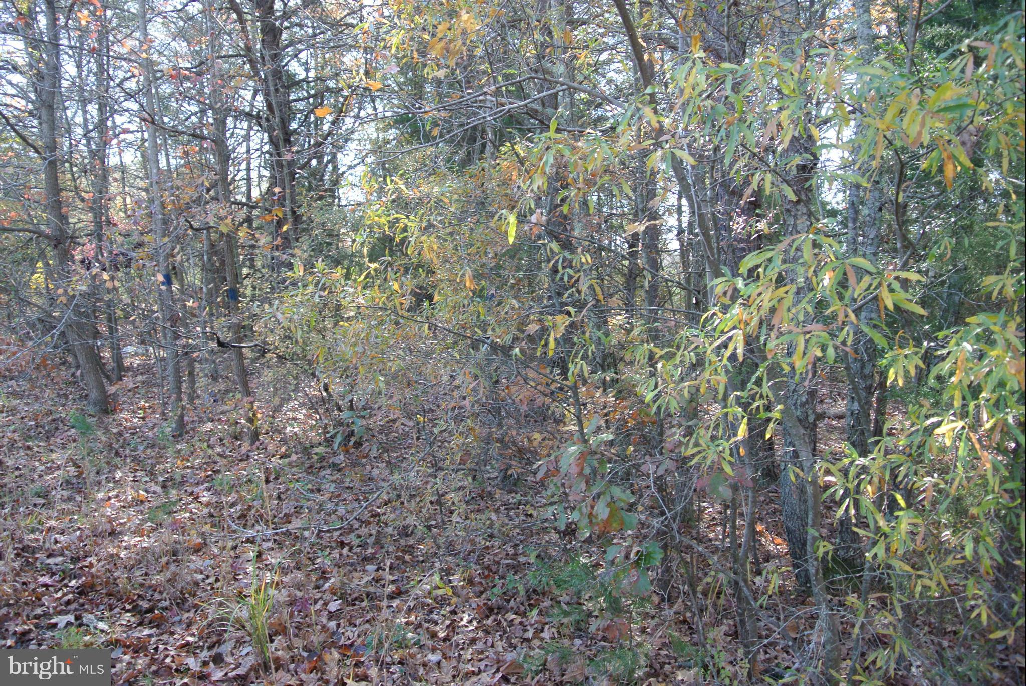 NONE AVAILABLE - Land