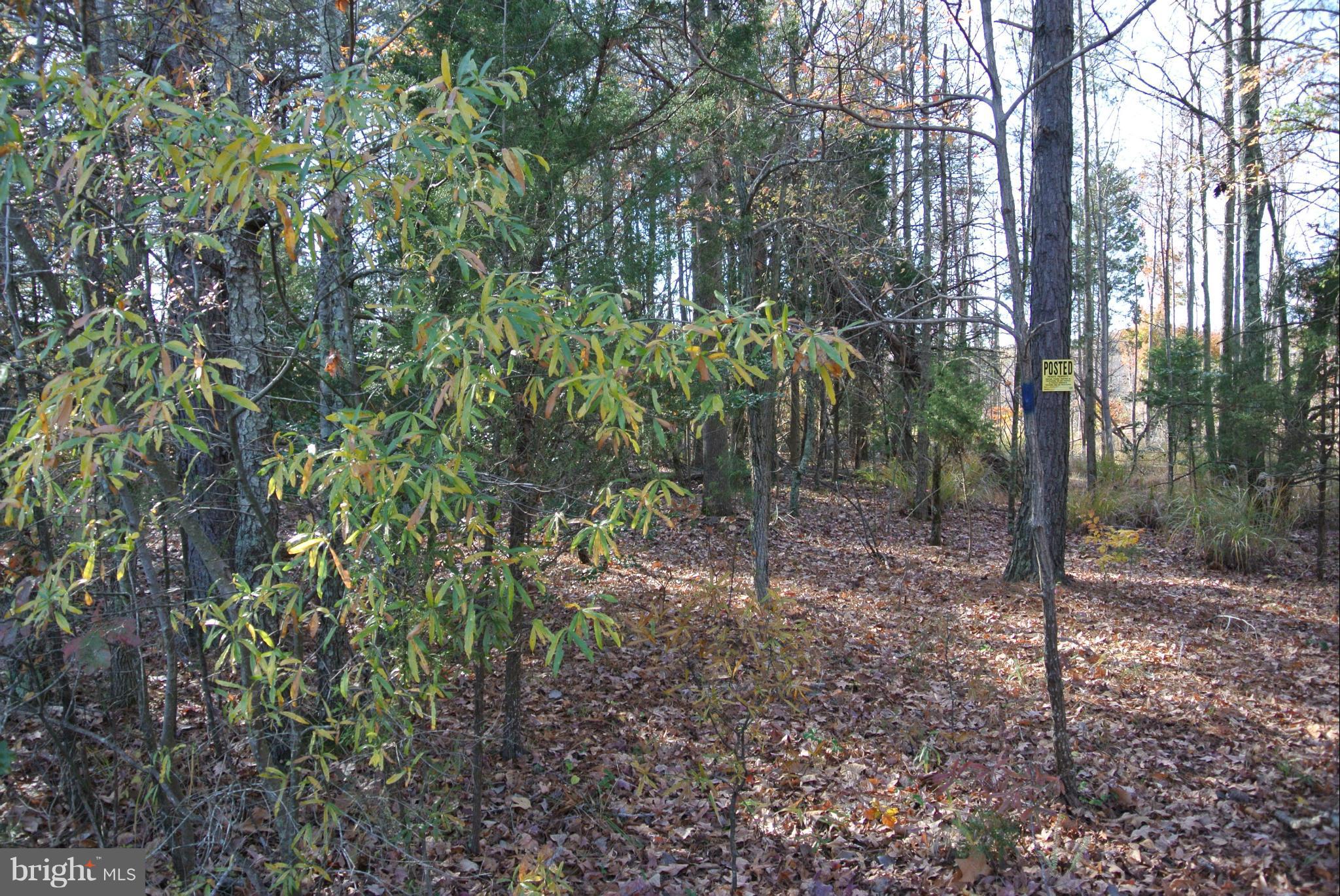 NONE AVAILABLE - Land