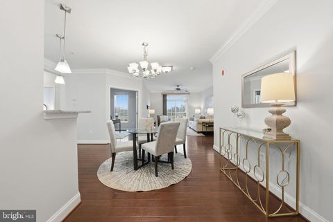 3911 DOC BERLIN DRIVE 34 SILVER SPRING MD 20906