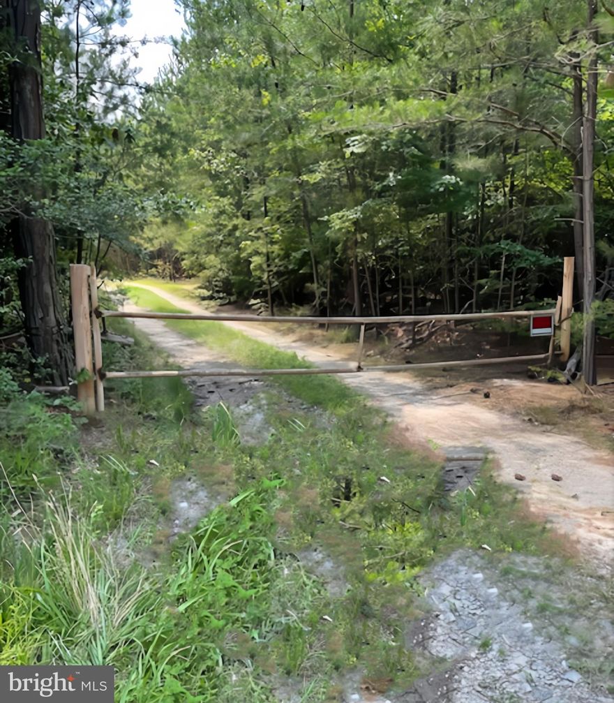 This expansive property offers both privacy and versatility—ideal for building your dream home, creating a peaceful recreational getaway, or making a smart long-term investment. Whether you're a serious hunter or an outdoor enthusiast, this land provides the perfect setting for a private hunting retreat and year-round enjoyment of nature.