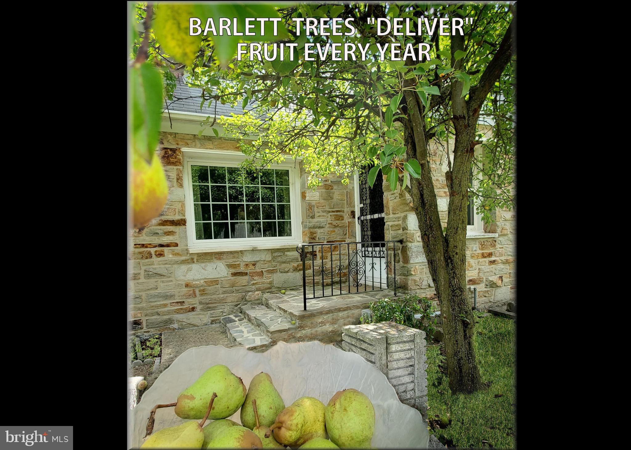 GARDENVILLE - Residential Income