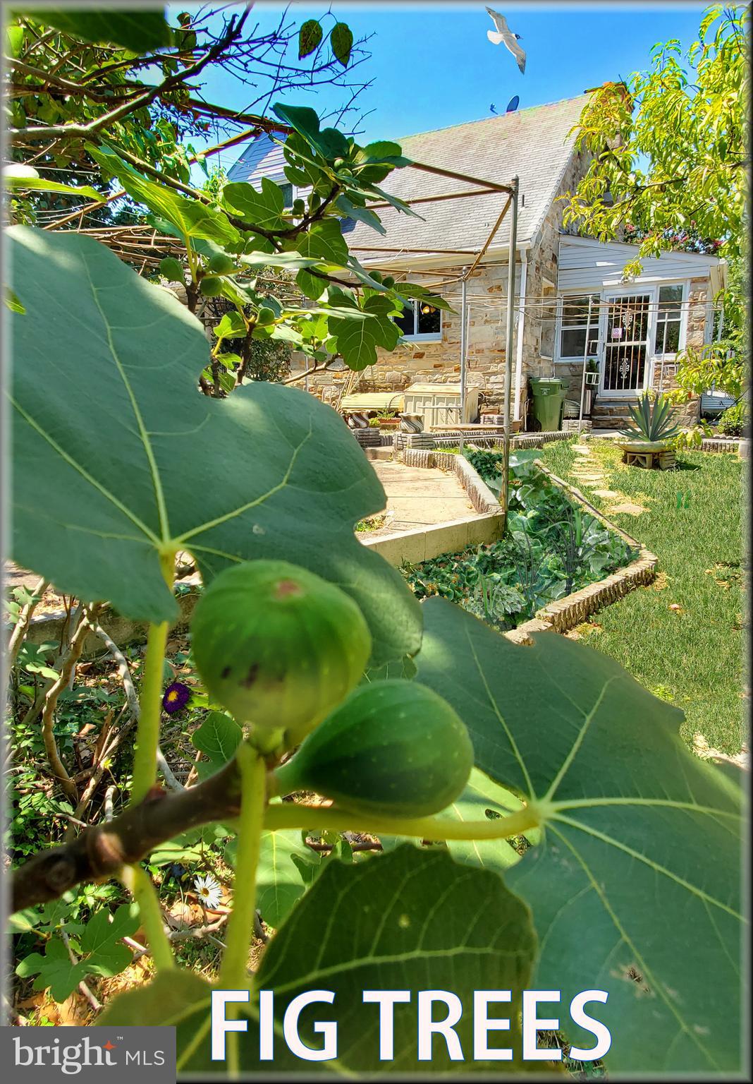 GARDENVILLE - Residential Income