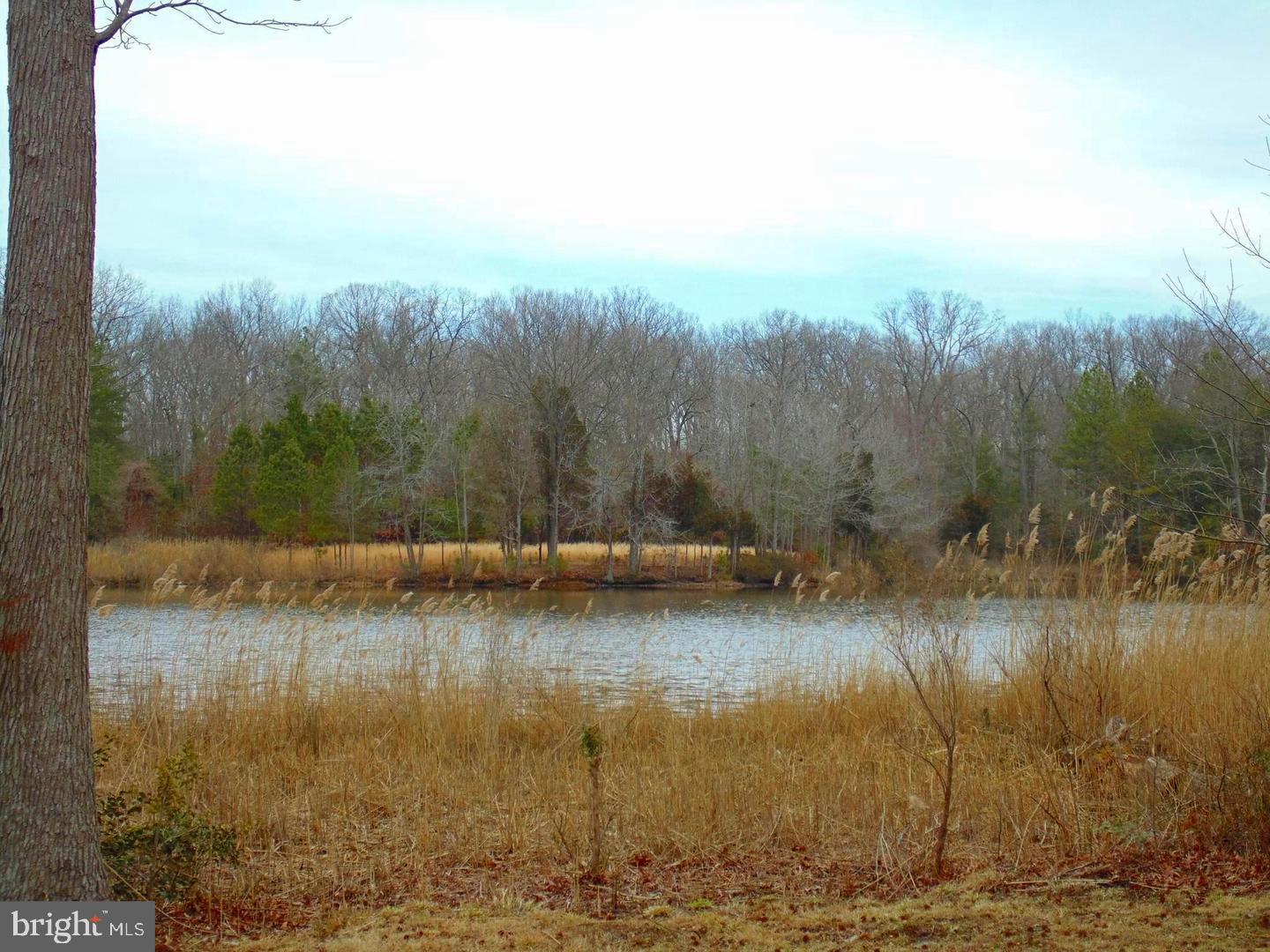 FRANKLIN MANOR BEACH - Residential
