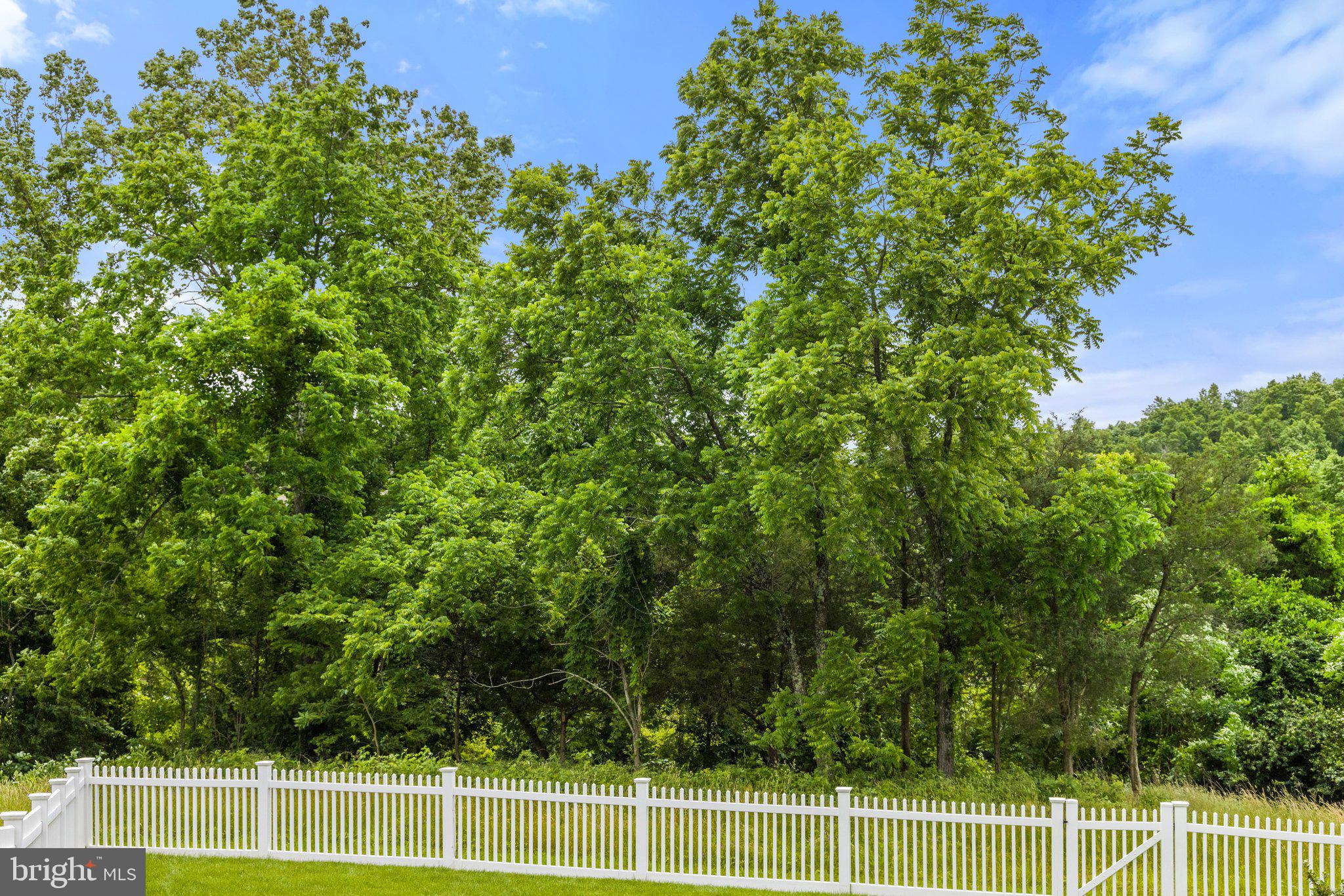 WILLOWSFORD AT THE GRANGE - Residential