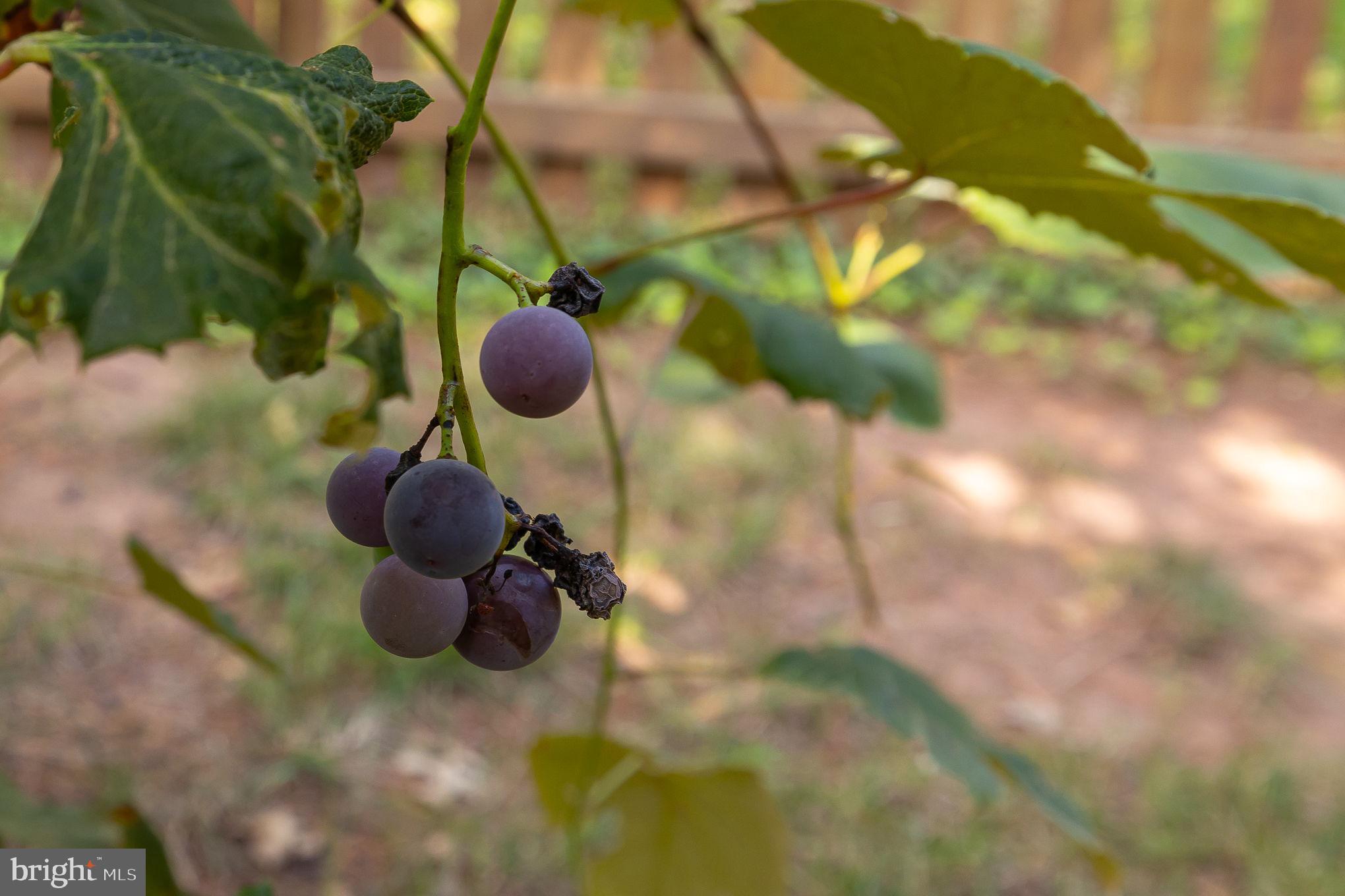 STRATFORD - Residential