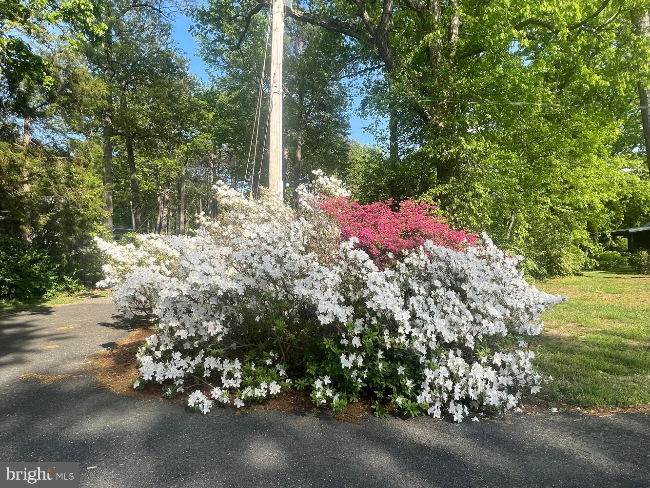 CLAIBORNE - Residential