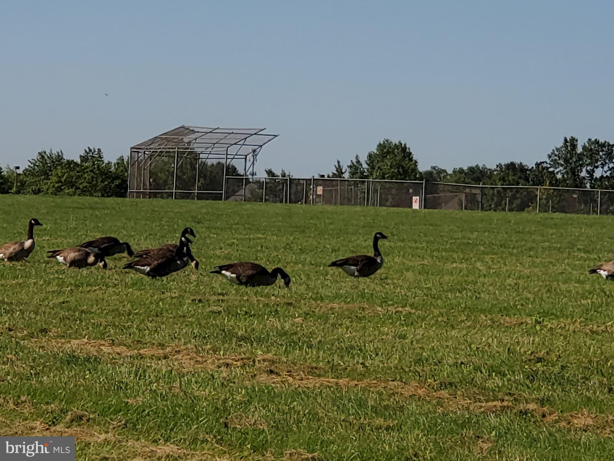 SOUTH RIDING - Residential