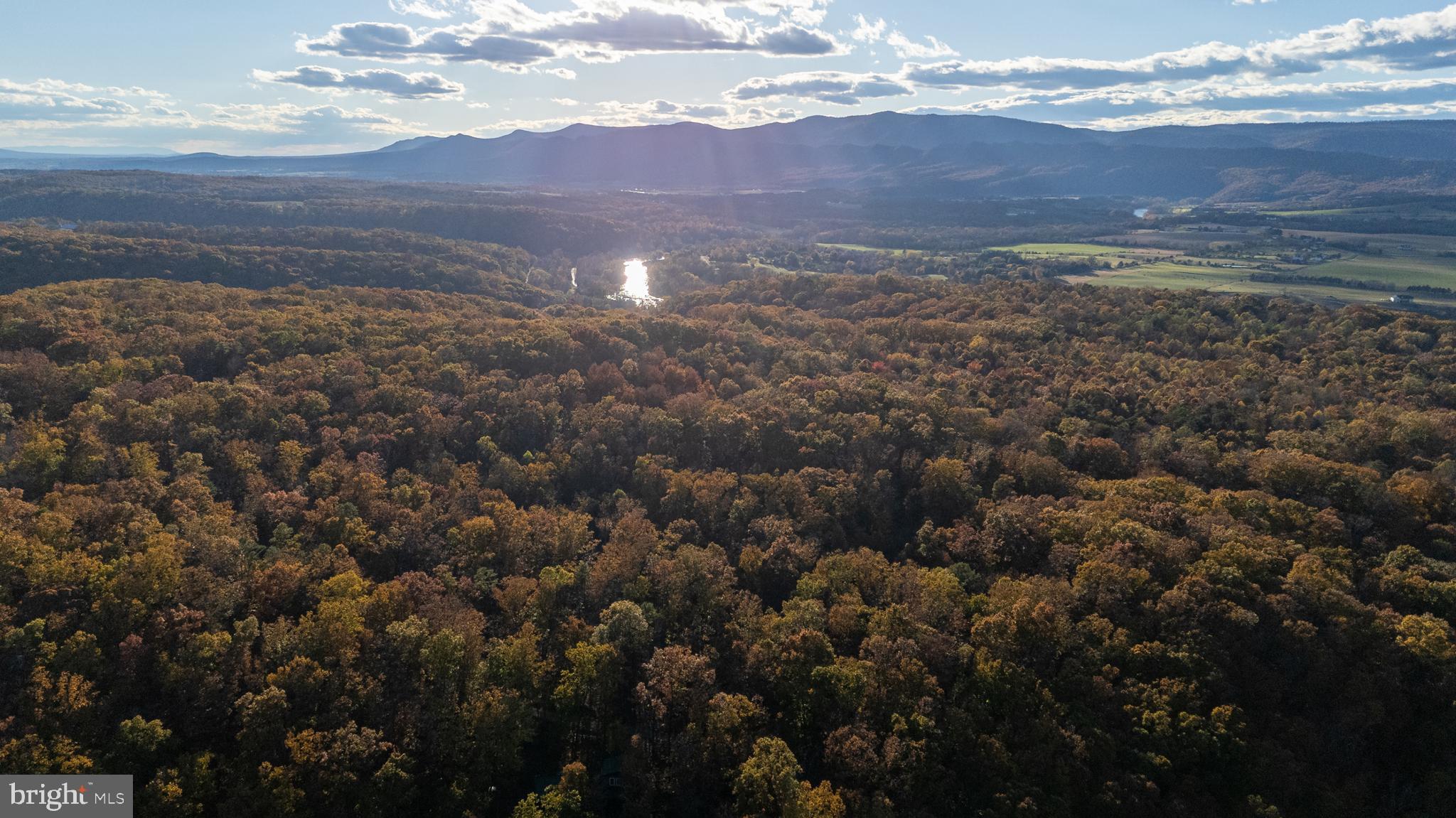 SHENANDOAH GAP - Residential