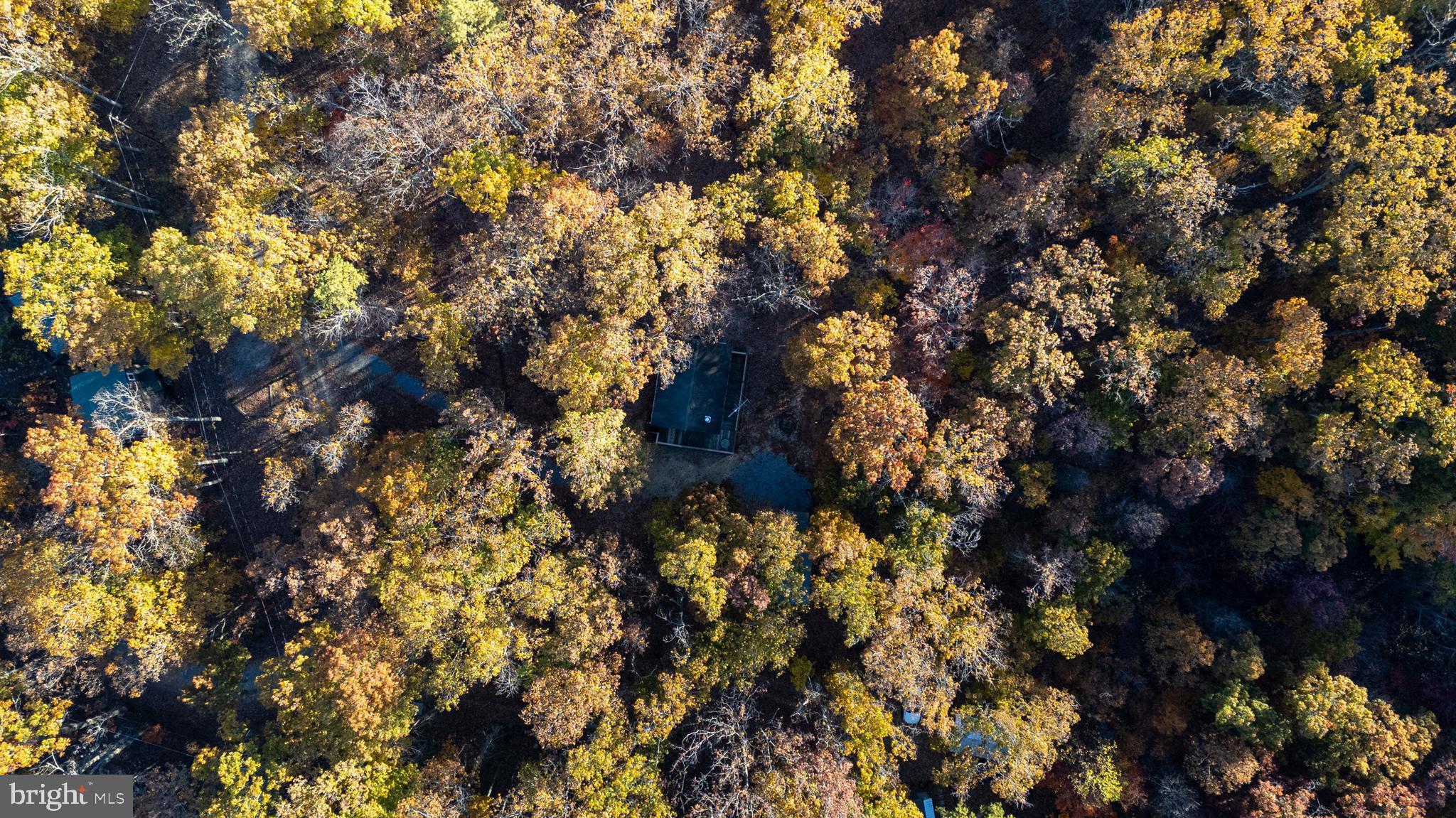 SHENANDOAH GAP - Residential