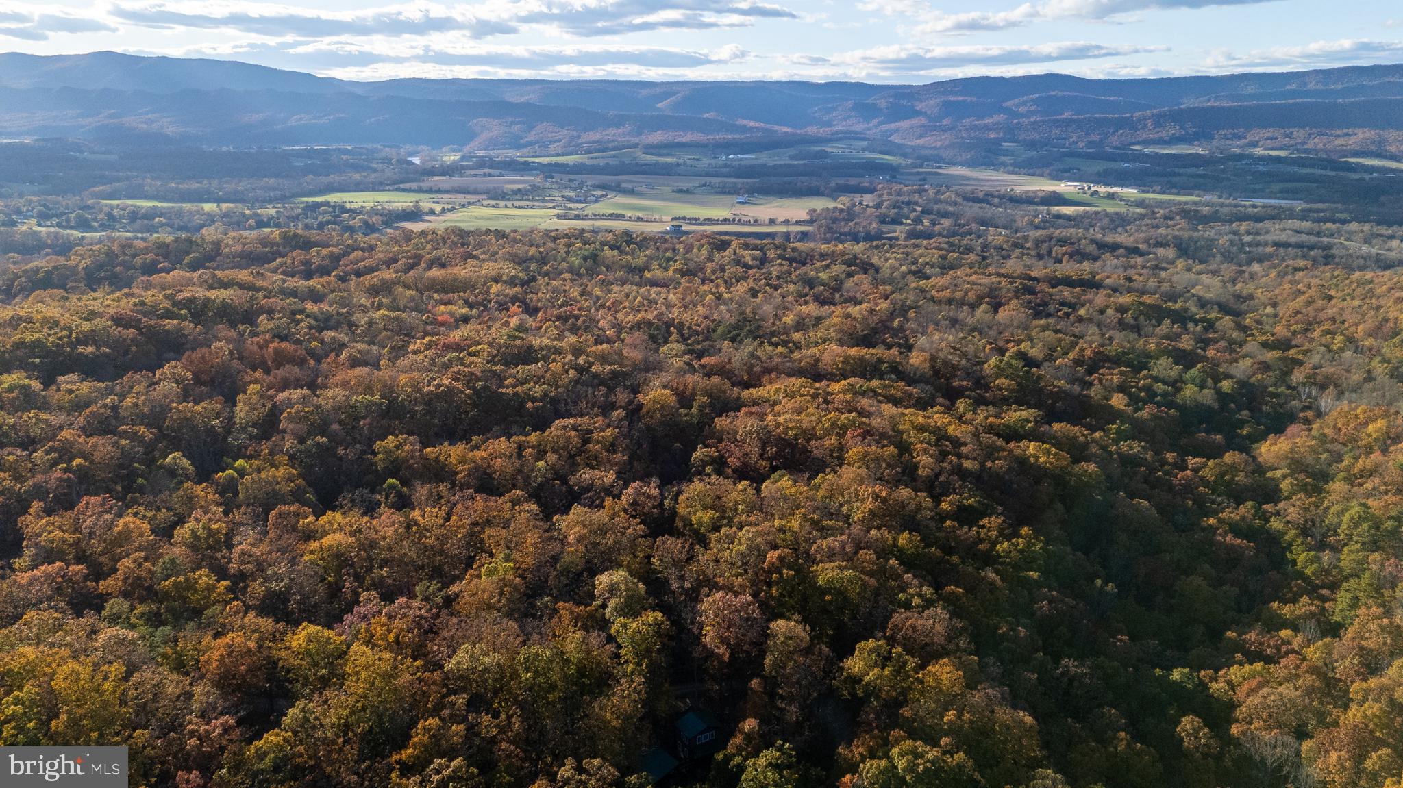 SHENANDOAH GAP - Residential