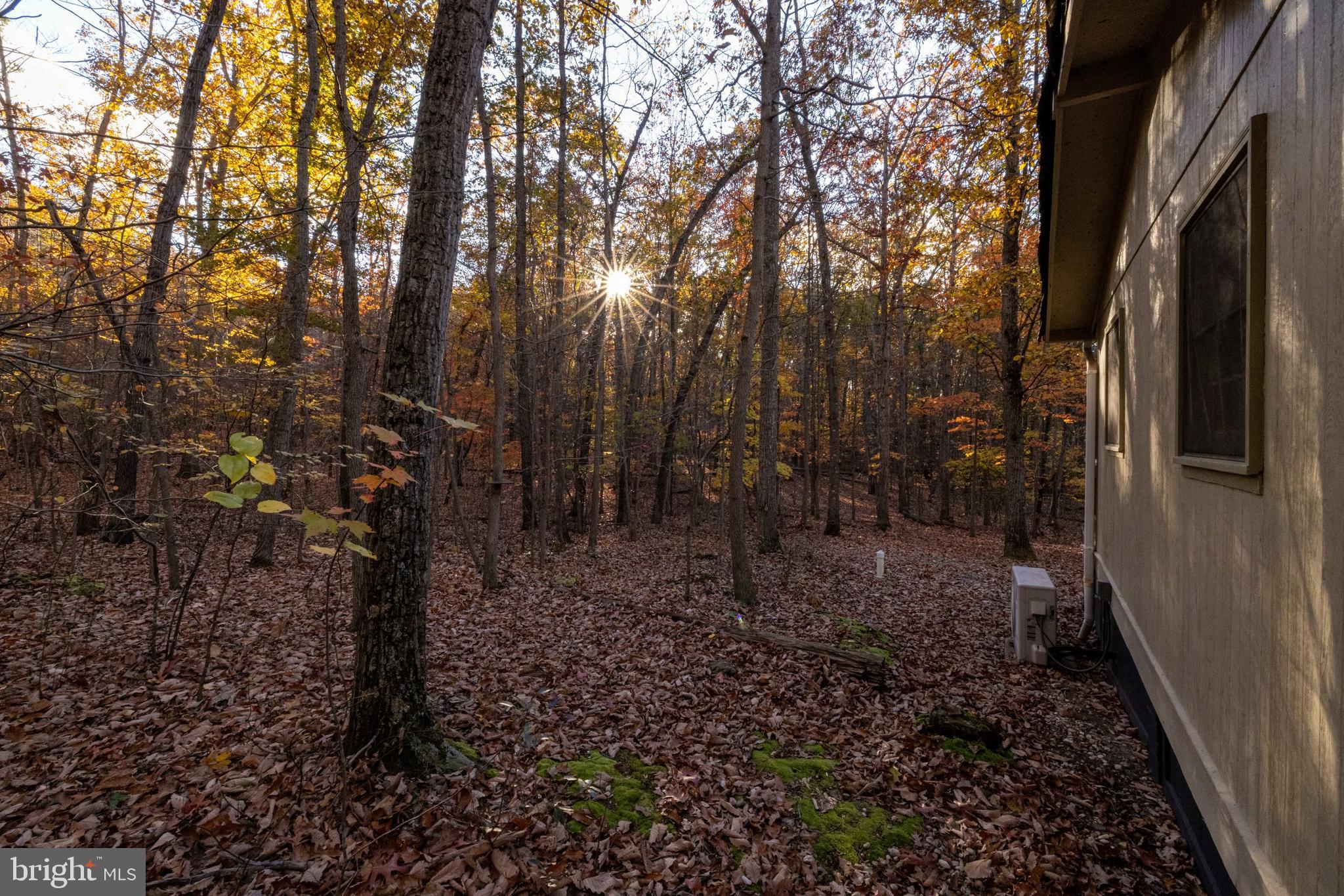 SHENANDOAH GAP - Residential