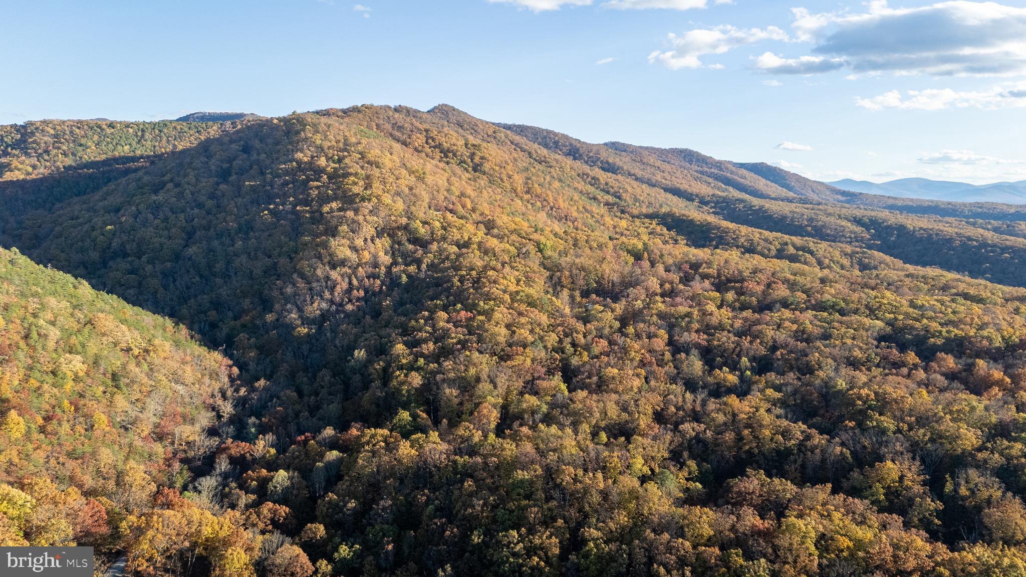 SHENANDOAH GAP - Residential
