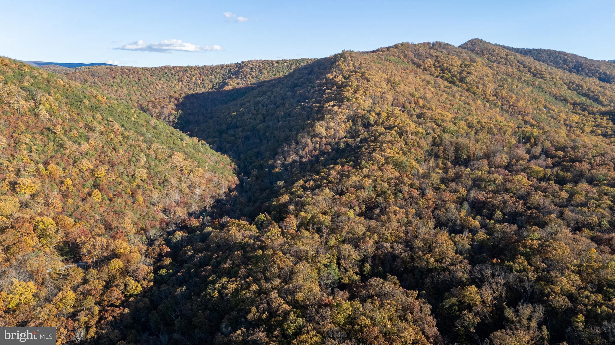 SHENANDOAH GAP - Residential