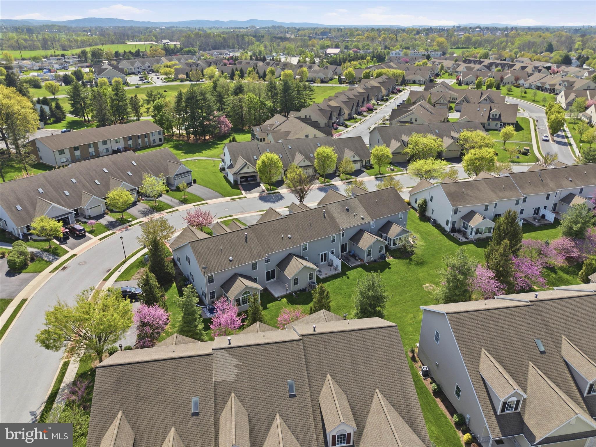 ELM TREE - Residential