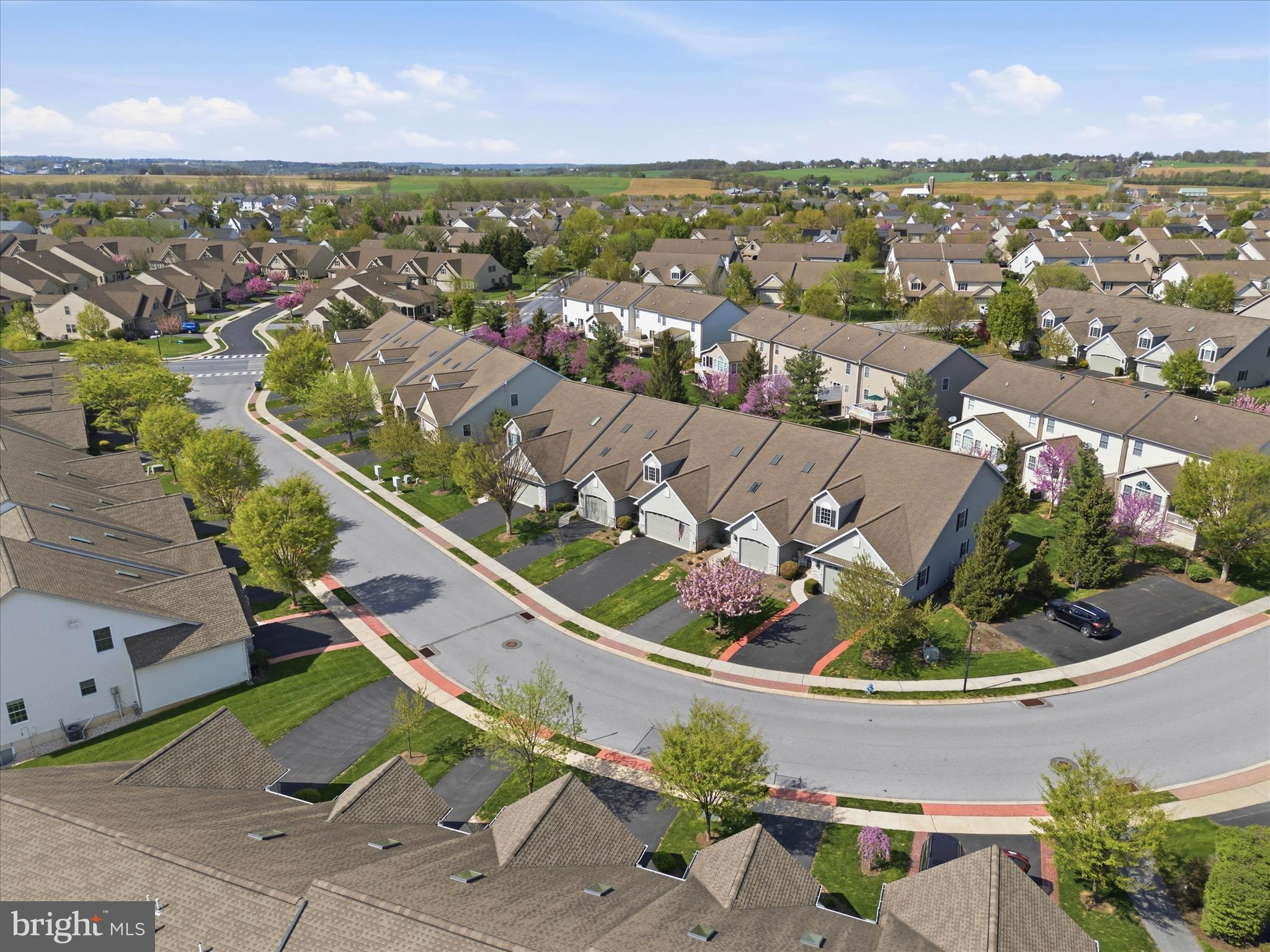 ELM TREE - Residential