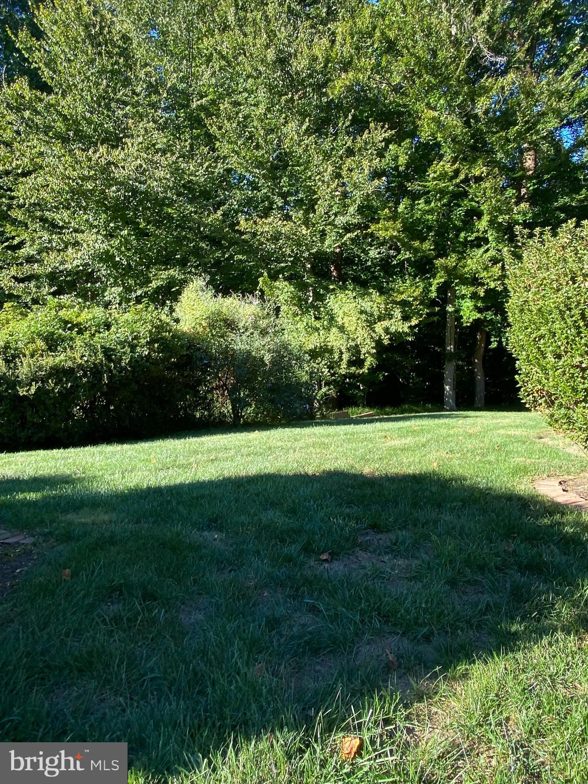 LANGLEY OAKS - Residential Lease