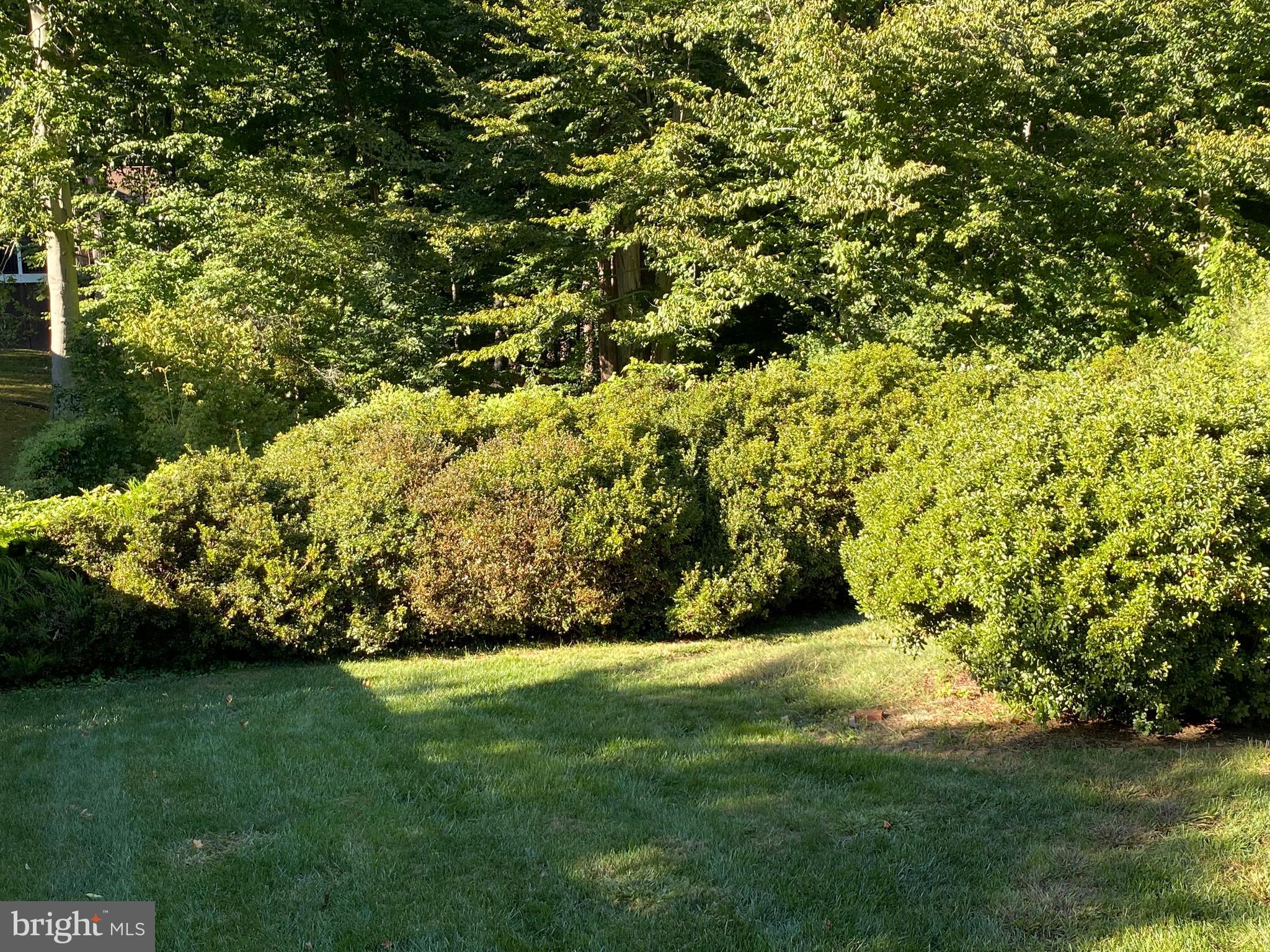 LANGLEY OAKS - Residential Lease