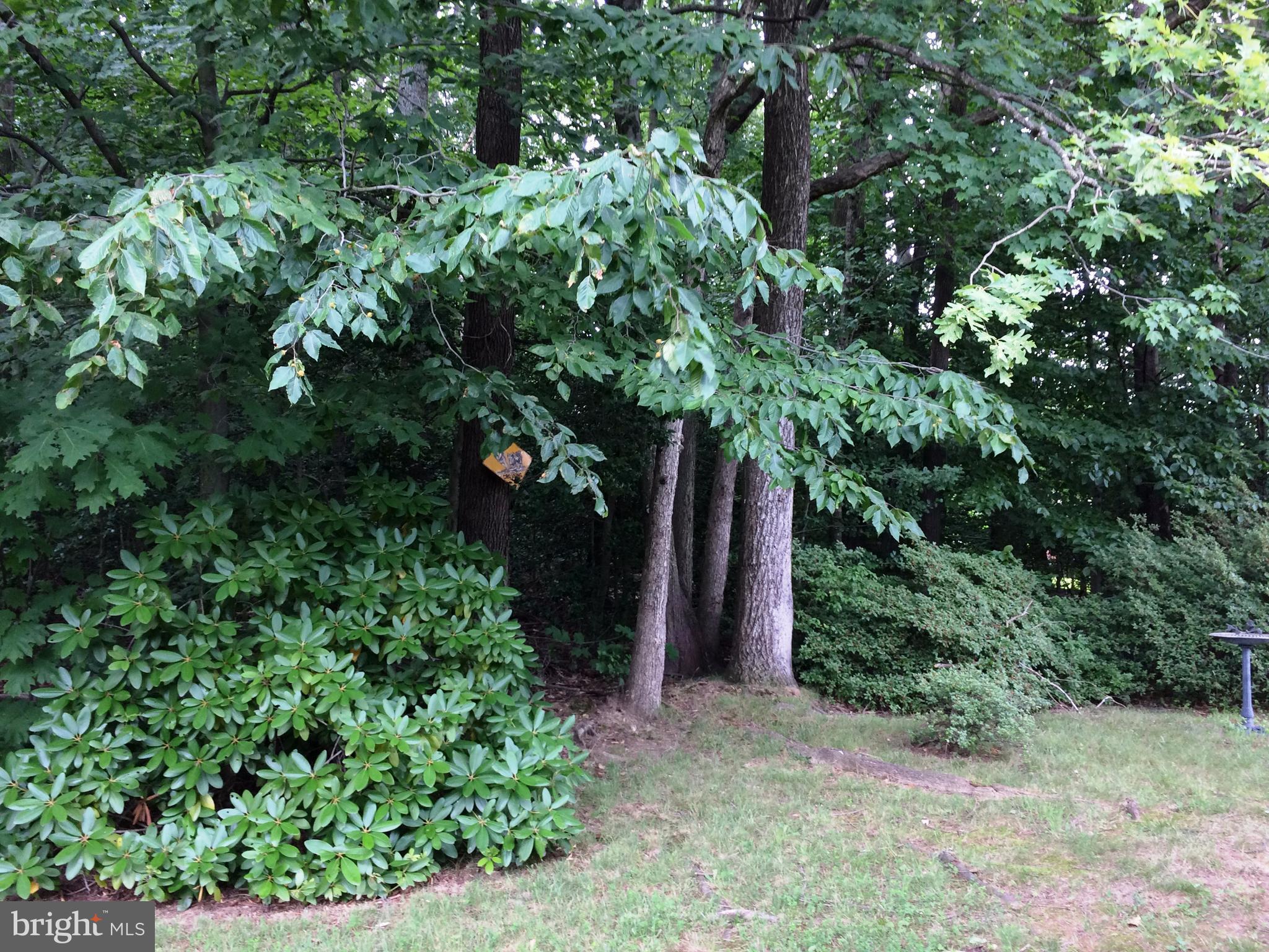 KINGS PARK WEST - Residential Lease