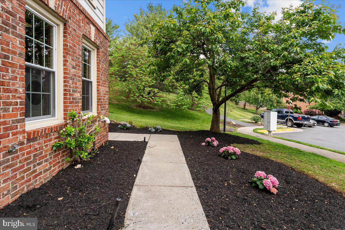 TAVISTOCK FARMS - Residential
