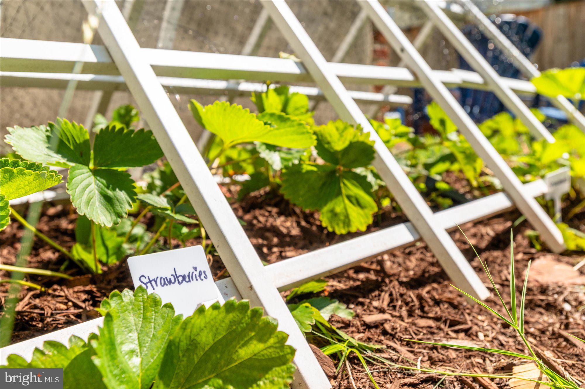 RIVERDALE PARK - Residential