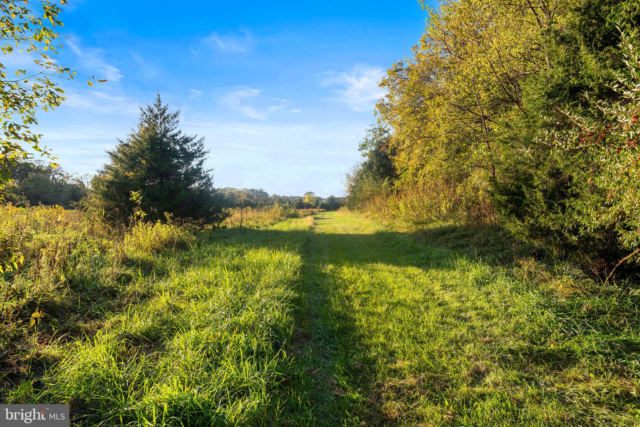 RIVER RIDGE ON THE SHENANDOAH - Residential