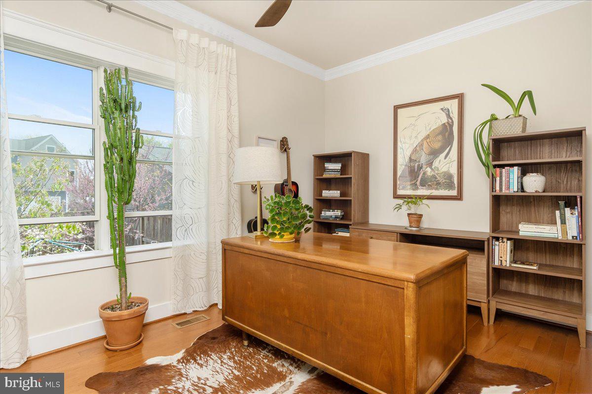 DOWNTOWN FREDERICK - Residential