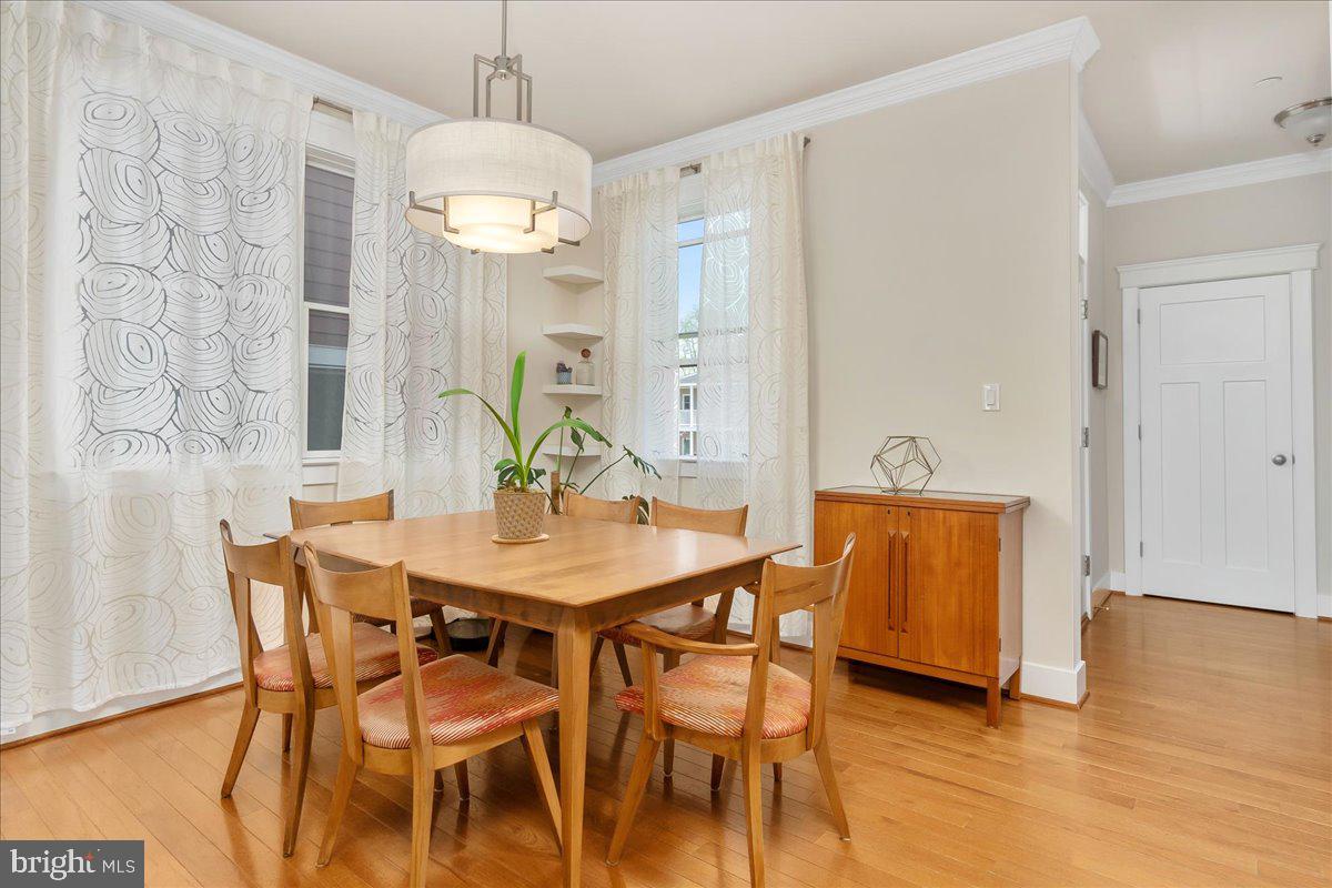 DOWNTOWN FREDERICK - Residential