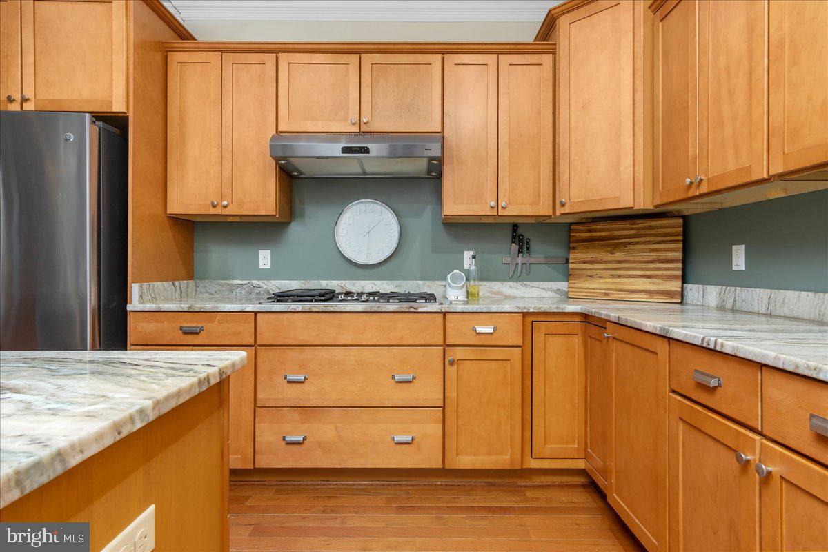 DOWNTOWN FREDERICK - Residential