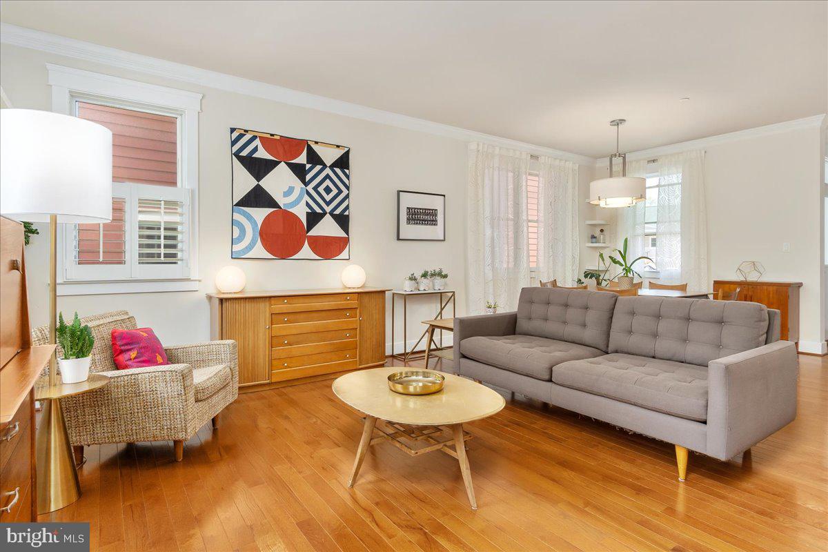 DOWNTOWN FREDERICK - Residential