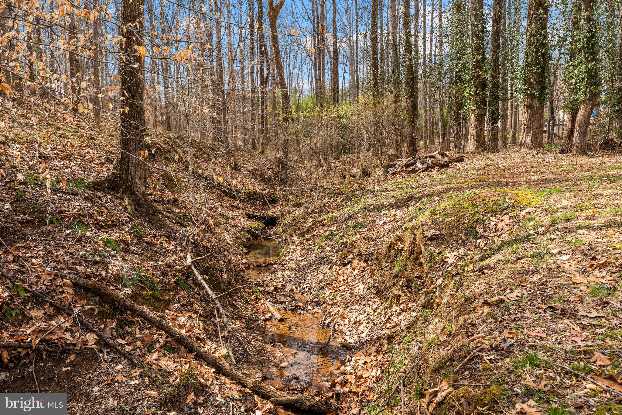 CHESTNUT TOP - Residential