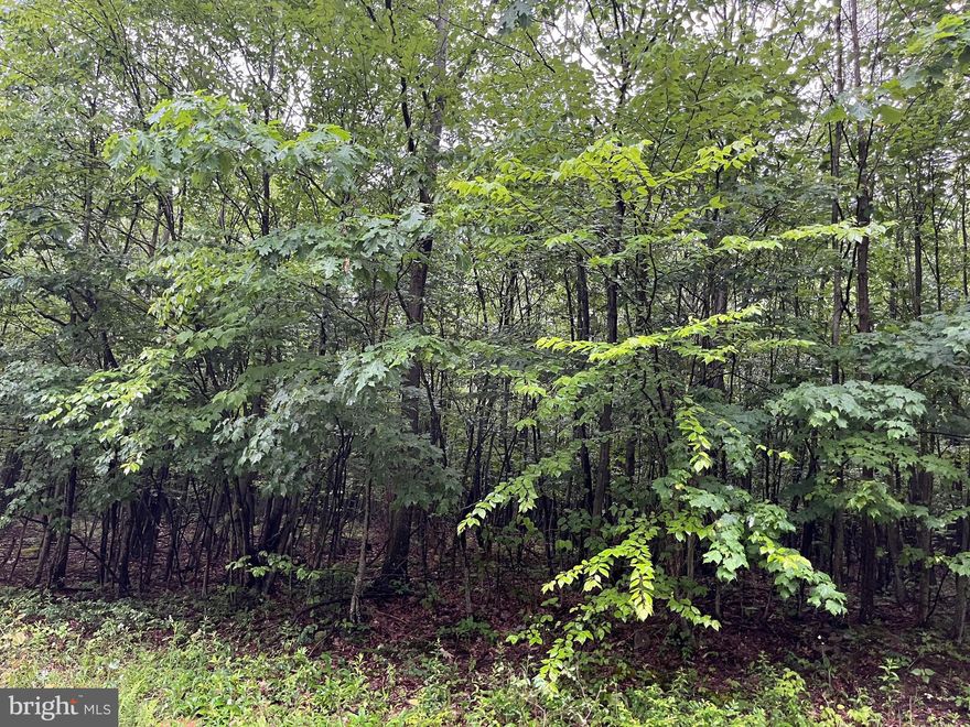 Wooded 7.02 Acre Lot - Wonderful privacy with year round accessibility  -  Garrett County (Maryland) is Maryland's last frontier - Deep Creek Lake, Wisp Ski Resort, Hiking, Biking, Golf with fresh air - No traffic jams here!