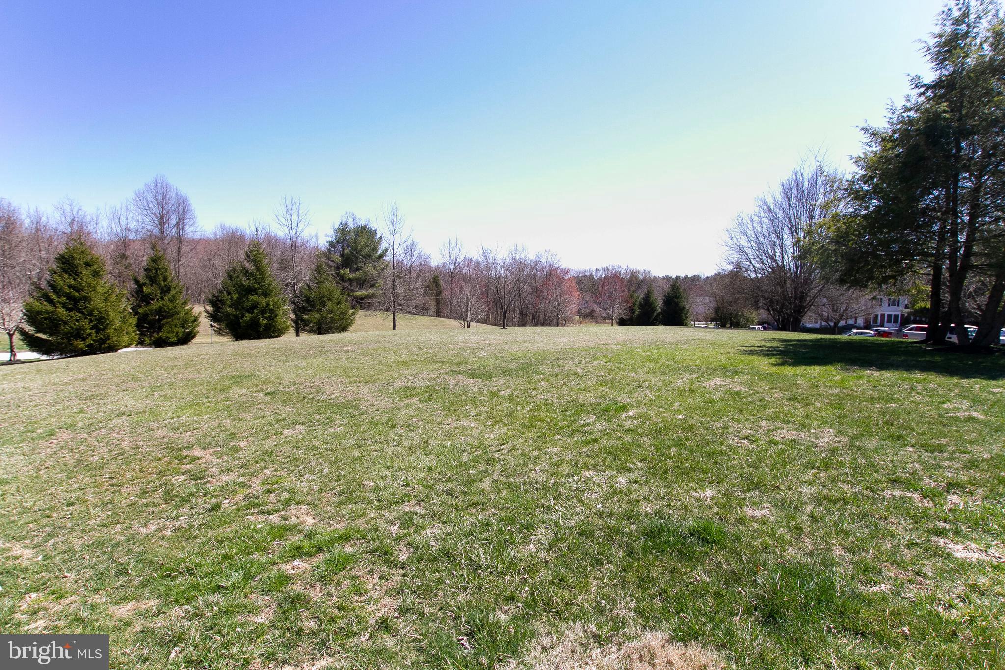 VILLAGE OF THOMAS RUN - Residential