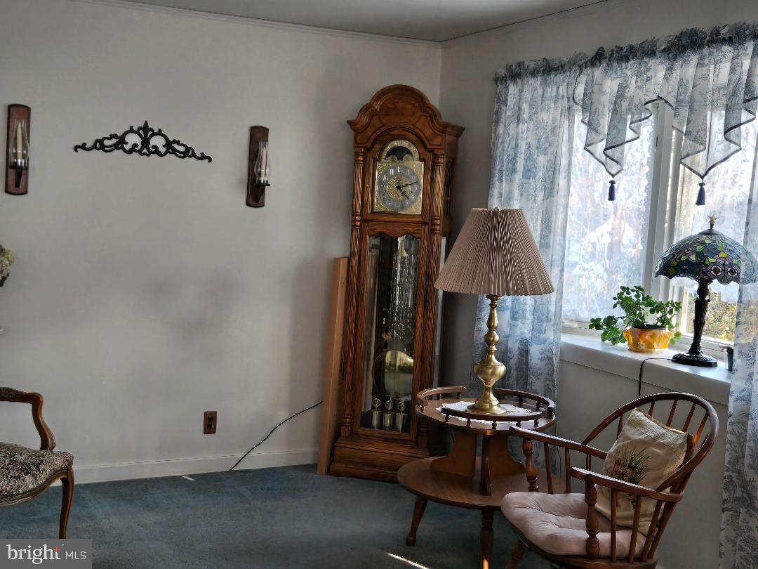 WYNNEWOOD VALLEY - Residential