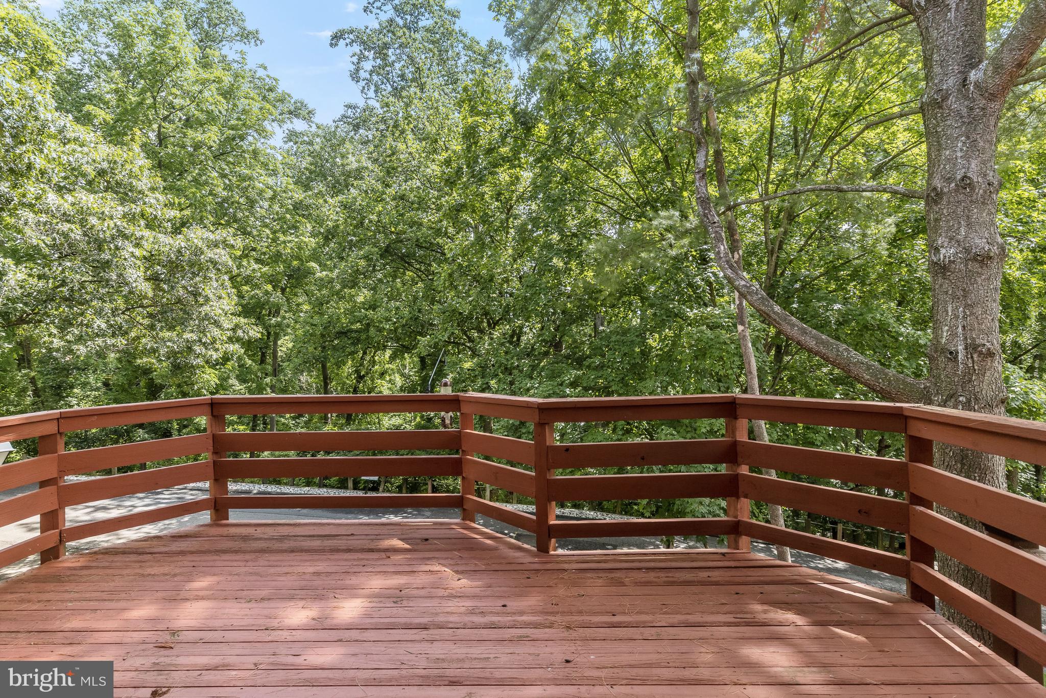 GREENBERRY WOODS - Residential