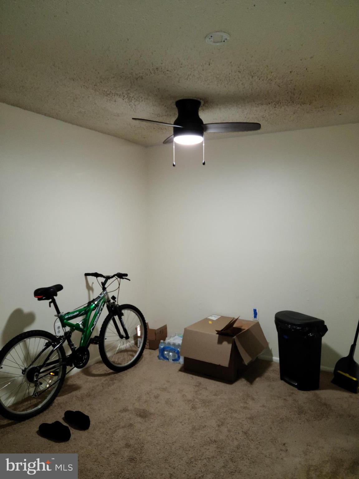 SWANN HILL CONDOMINIUMS - Residential Lease