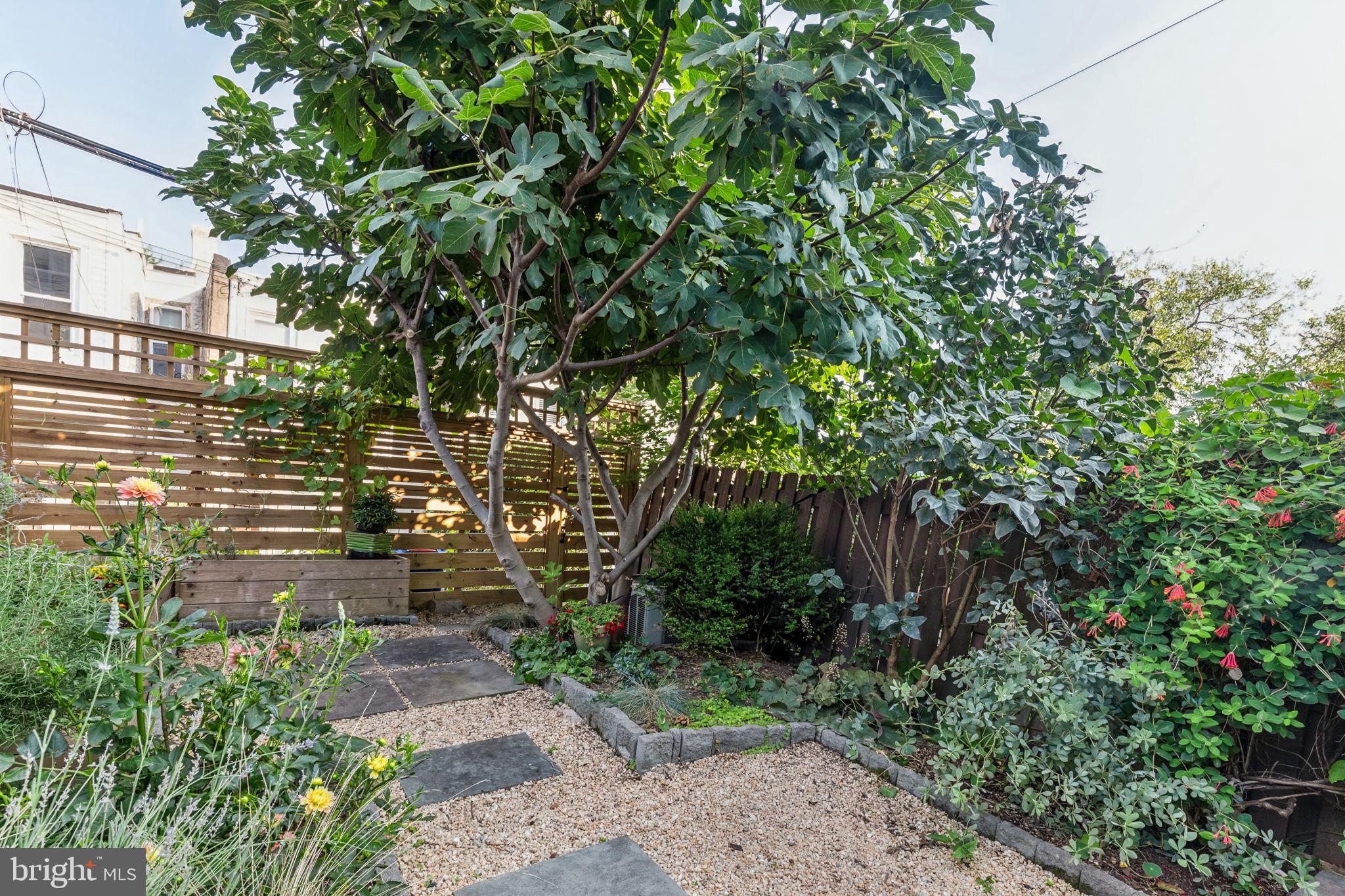 EAST FALLS - Residential