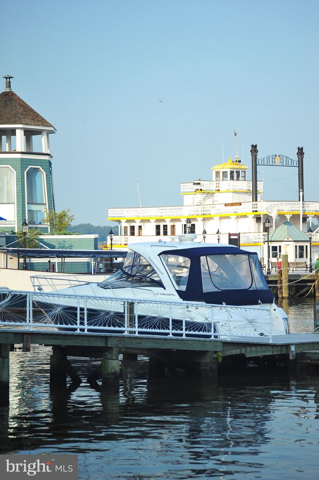 THE ORONOCO - Residential Lease