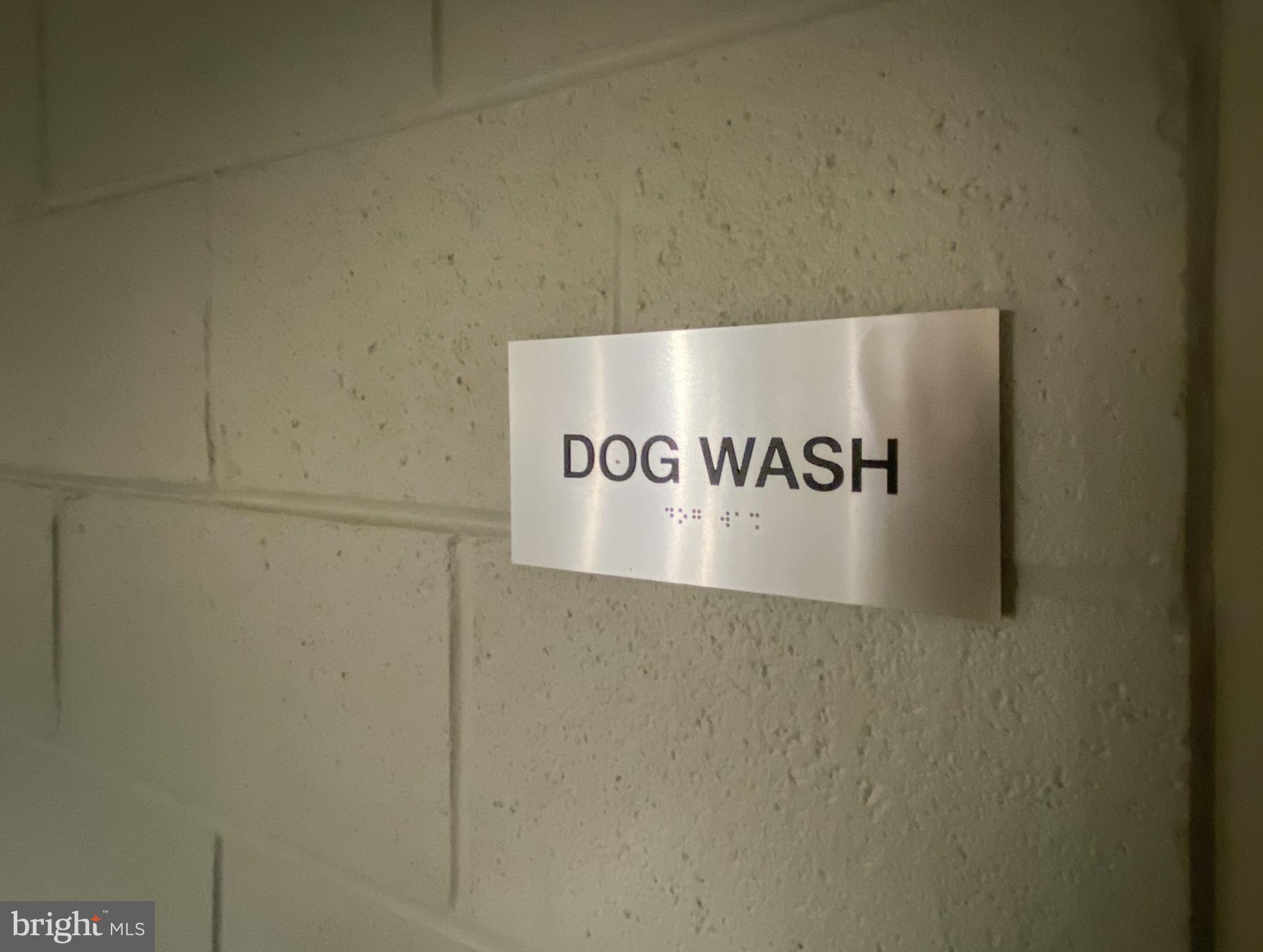 THE ORONOCO - Residential Lease