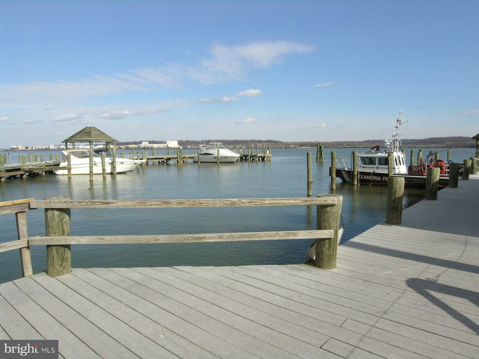 THE ORONOCO - Residential Lease