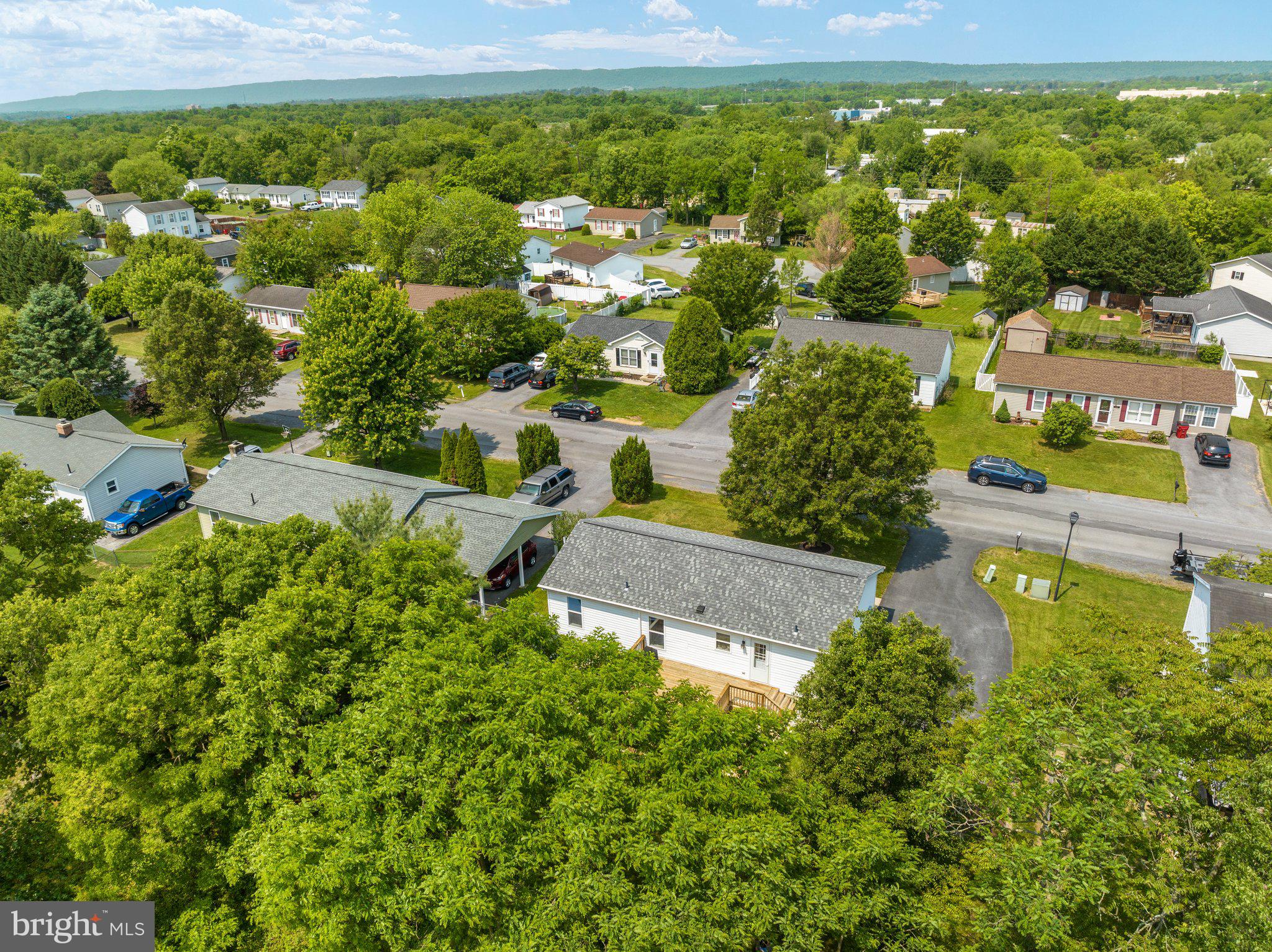 SPRINGFIELD VILLAGE - Residential